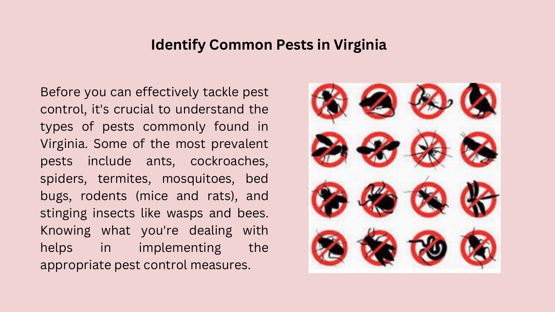 The Ultimate Guide to Residential Pest Control in Virginia Alexandria Pest Services, Inc