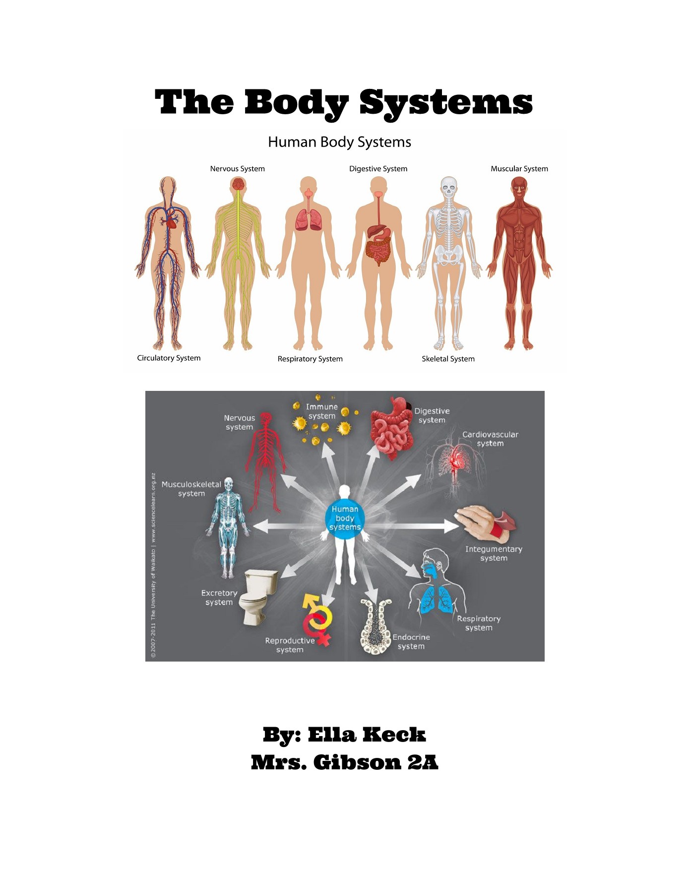 Body Systems Flipbook Isabella Keck Page 1 13 Flip PDF Online