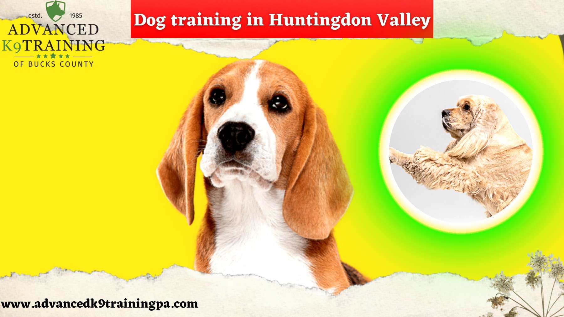 Dog Training in Huntingdon Valley Advanced K9 Training Advanced K9trainingpa Page 1 5