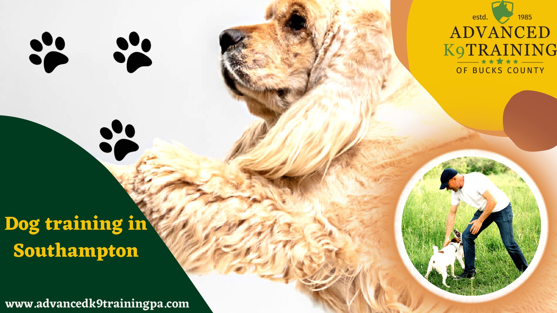 Training Your Dog Perfectly with Dog Training in Southampton Advanced