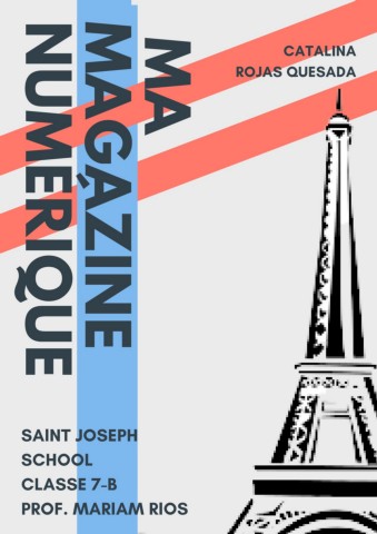 Magazine numérique.