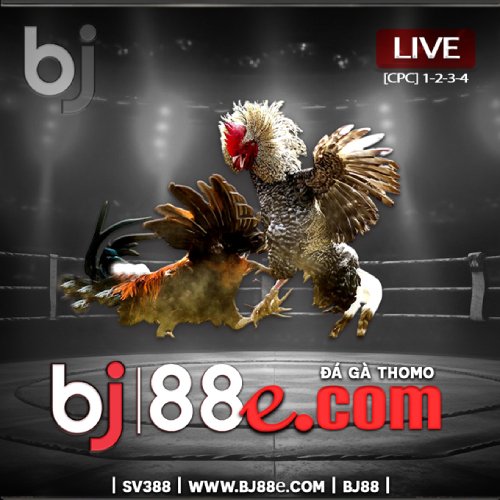 Physical Characteristics of the BJ88 Rooster