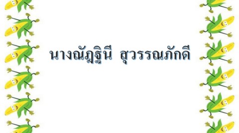 นางณัฎฐินีสุวรรณภักดีนำเสนอ