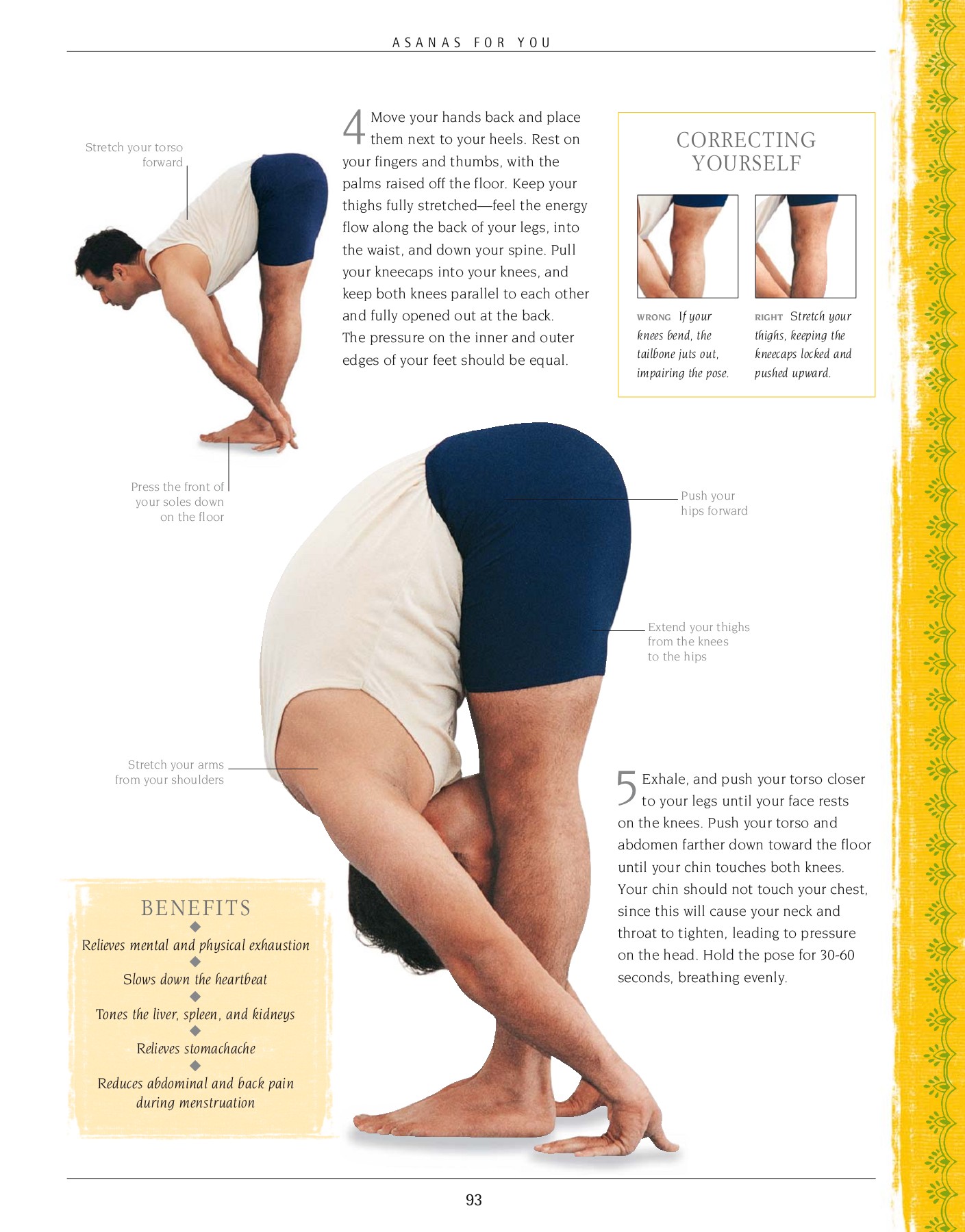 B.K.S. Iyengar Yoga The Path to Holistic Health (B.K.S. Iyengar