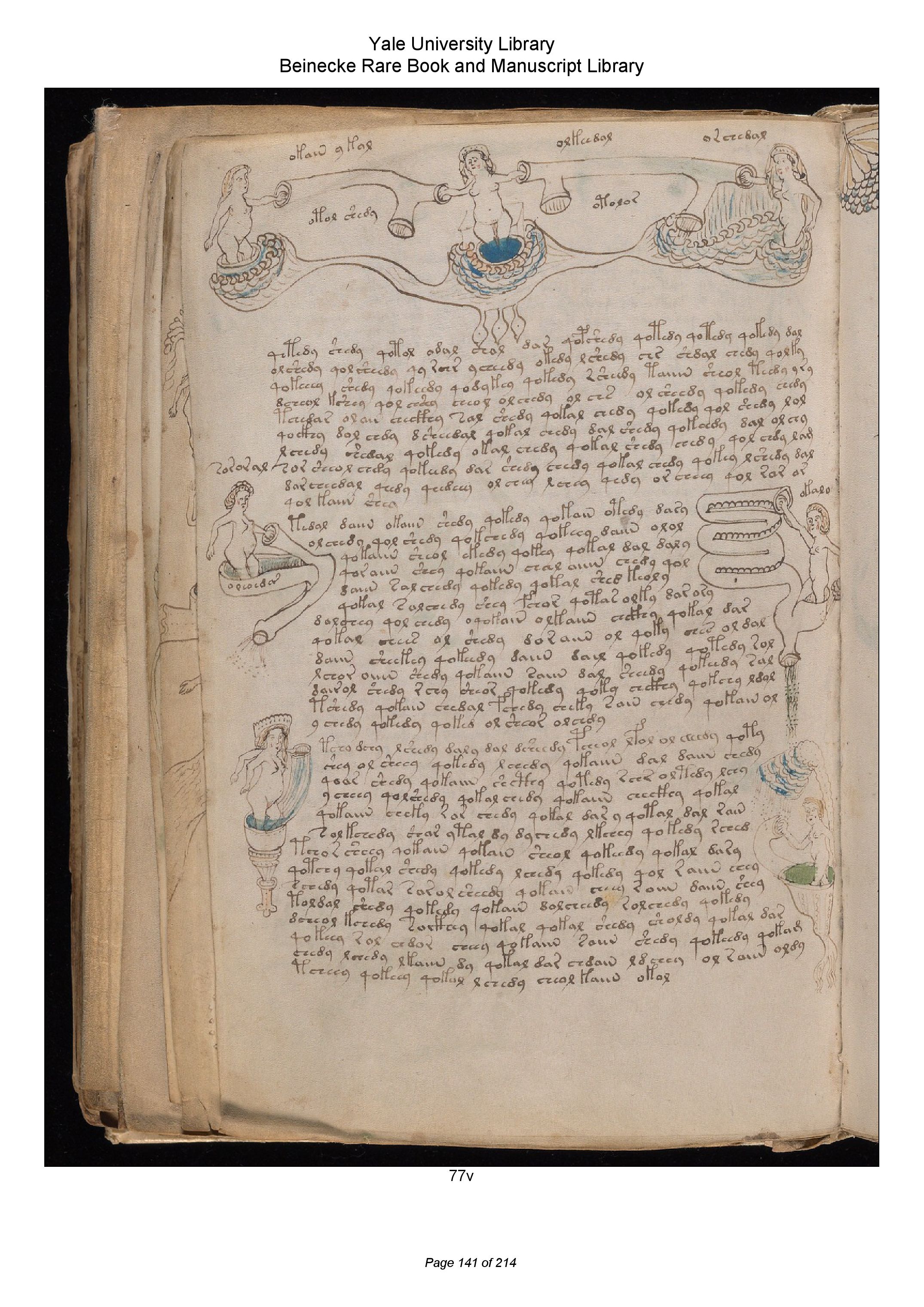 The Voynich Manuscript M Page 141 Flip PDF Online PubHTML5