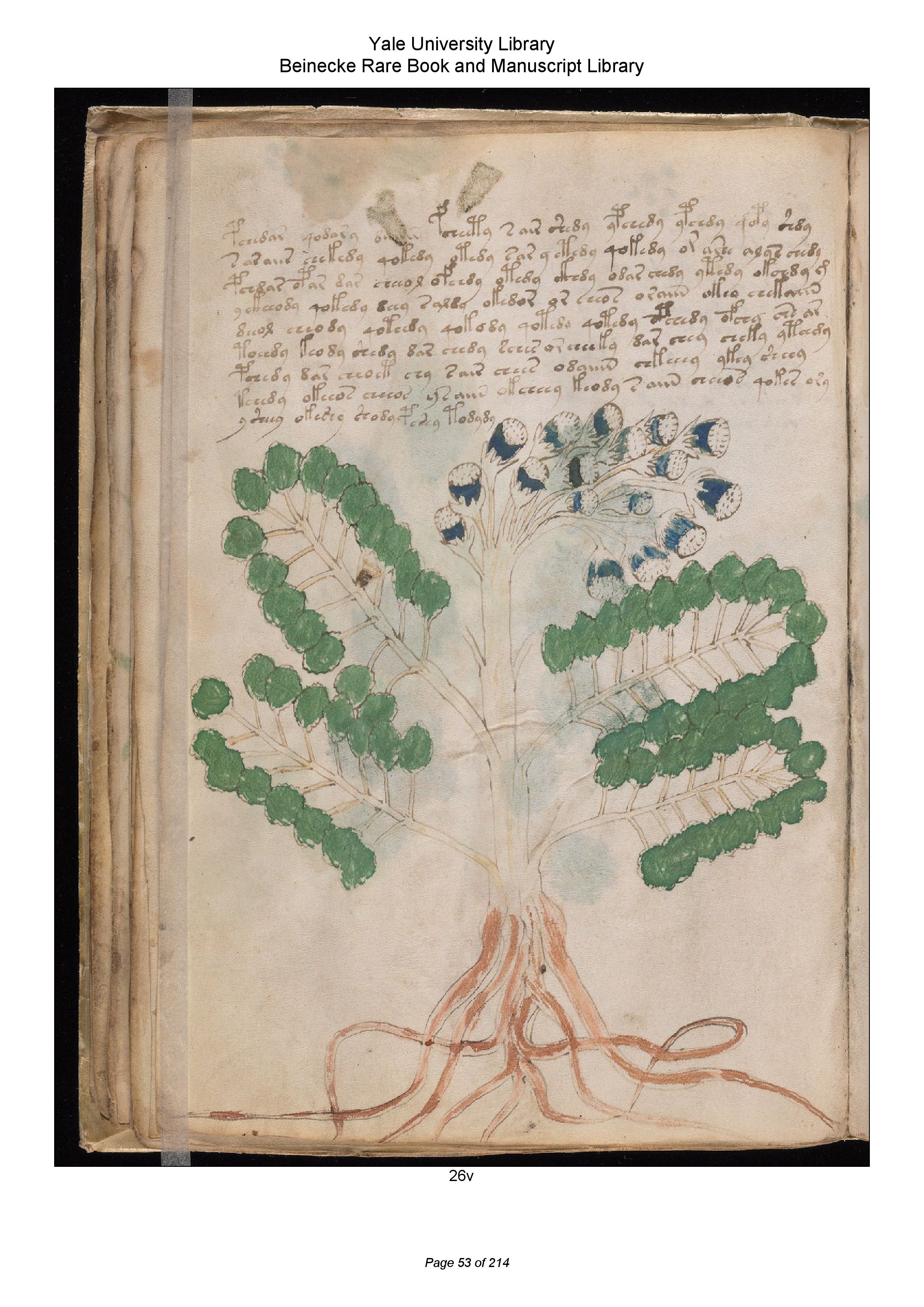 The Voynich Manuscript M Page 53 Flip PDF Online PubHTML5
