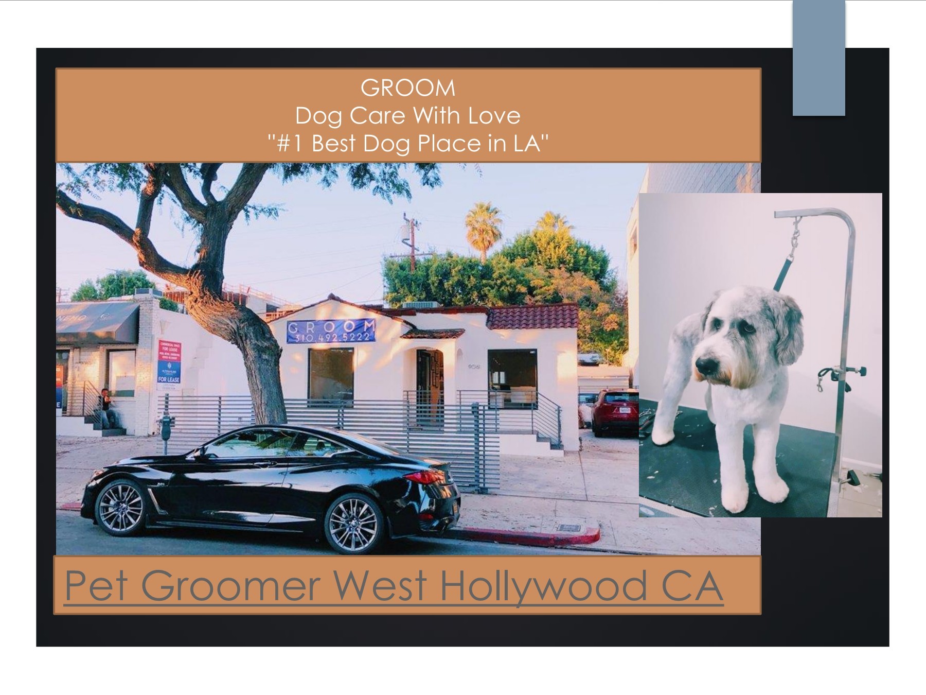 Pet Groomer West Hollywood CA Dog Grooming West Hollywood CA Page 1
