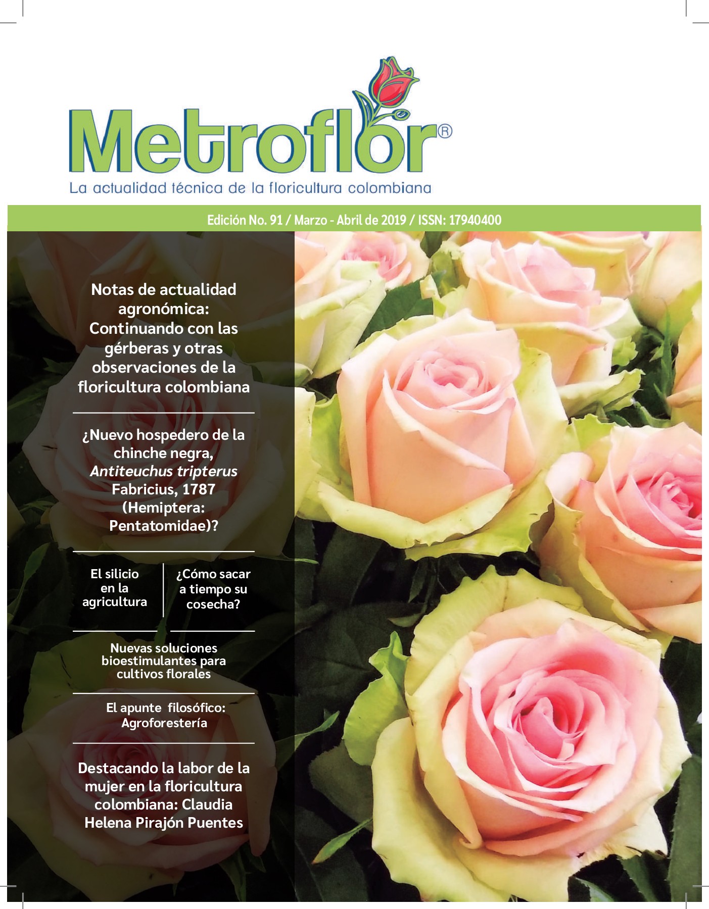 Revista-metroflor-edicion-91 - Revista Metroflor - Page 1 - 88 | Flip PDF  Online | PubHTML5, image size:1403x1800