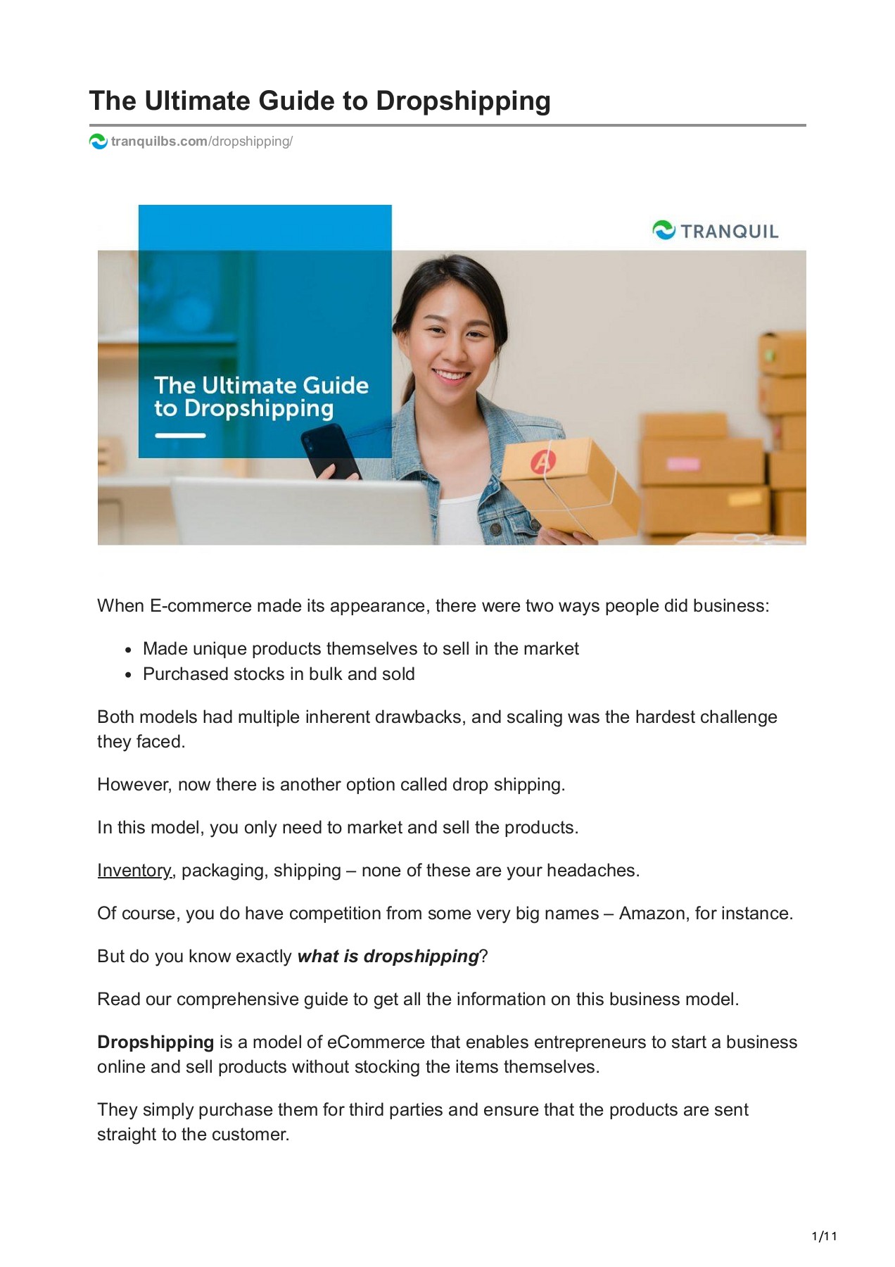 The Ultimate Guide to Dropshipping Tranquil Business Software Page