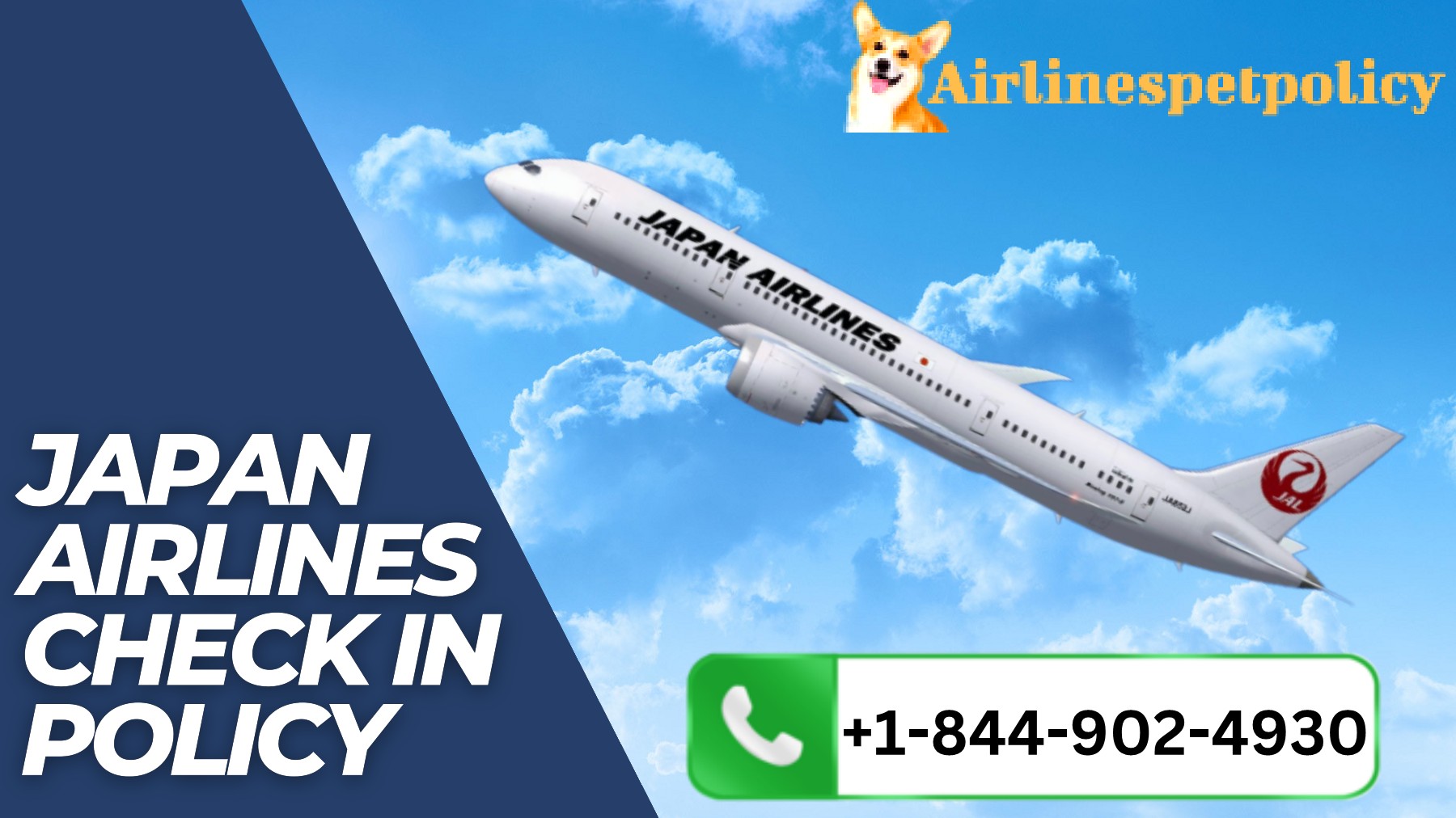 Japan airlines check in policy airlinespetpolicyofficial Page 1 5