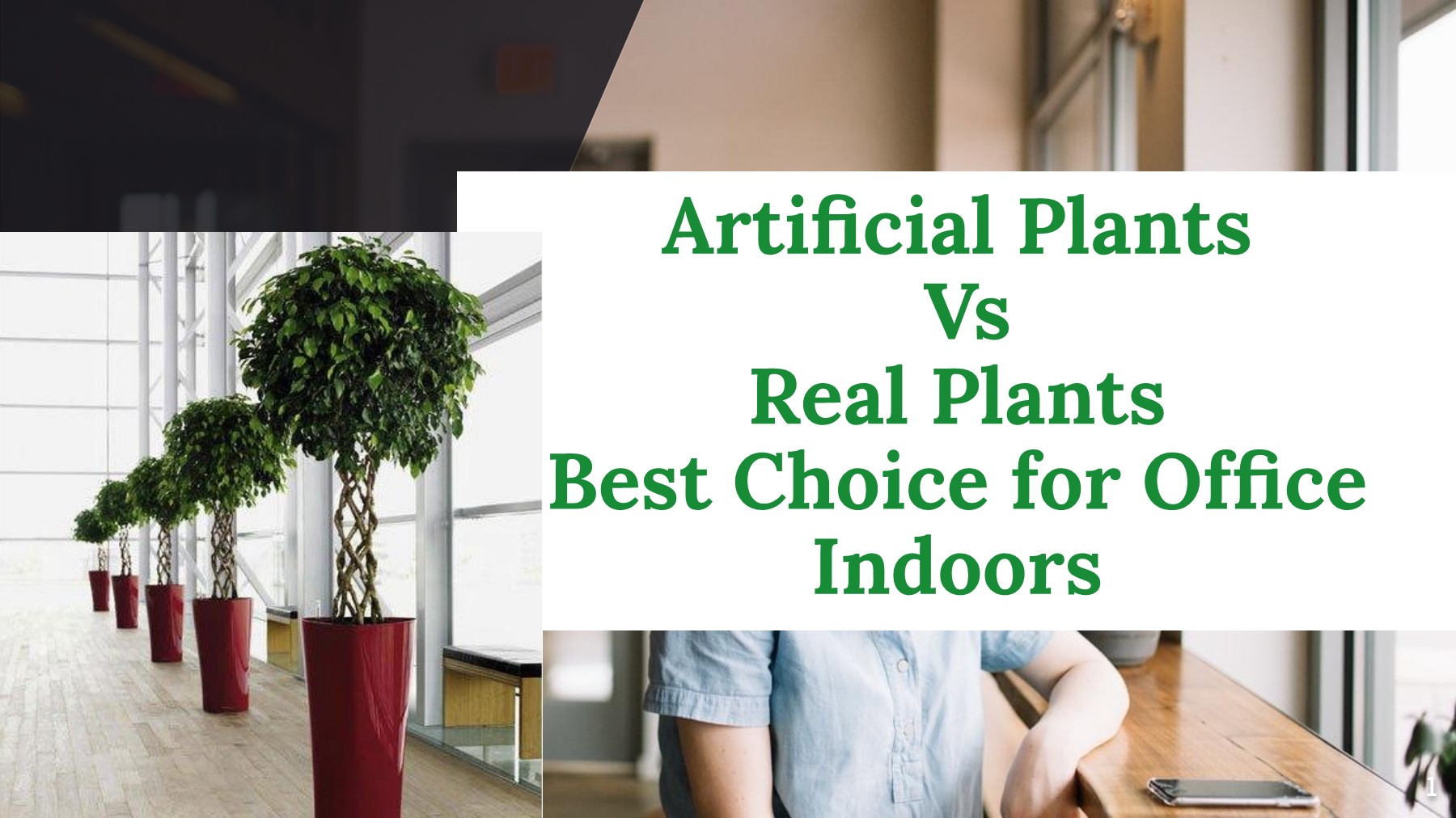 ARTIFICIAL PLANTS Vs REAL PLANTS FOR YOUR OFFICE INDOORS Suhana Aslam