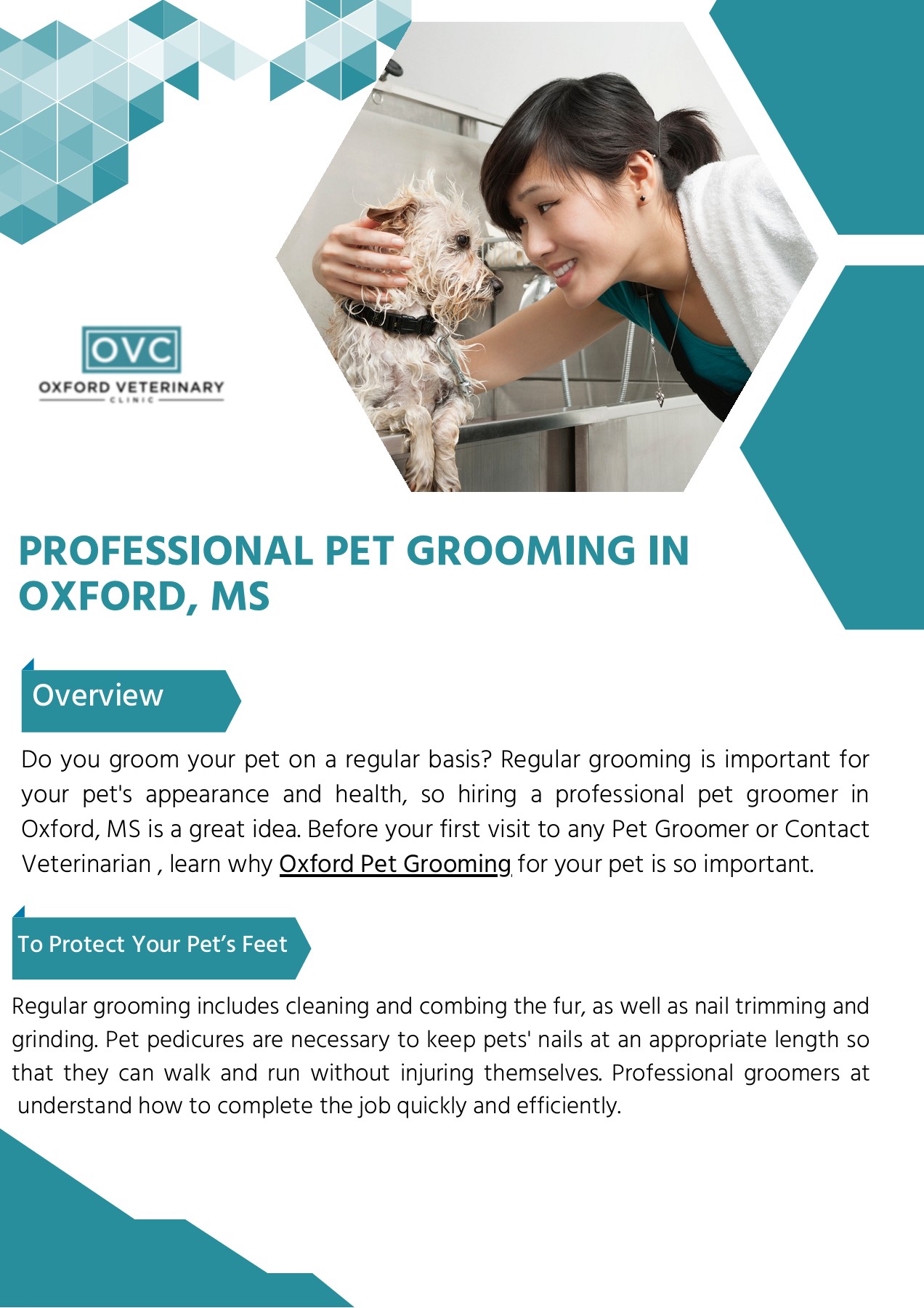 Professional Oxford Pet Grooming Oxford Veterinary Clinic Page 1