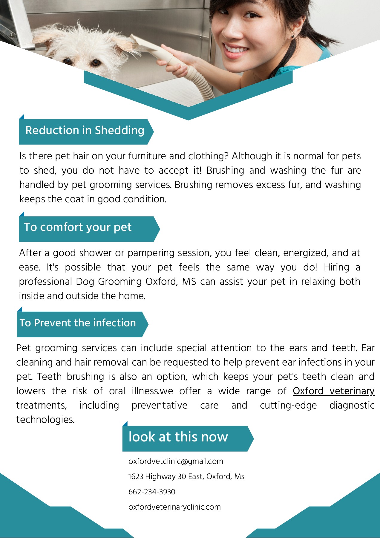 Professional Oxford Pet Grooming Oxford Veterinary Clinic Page 2