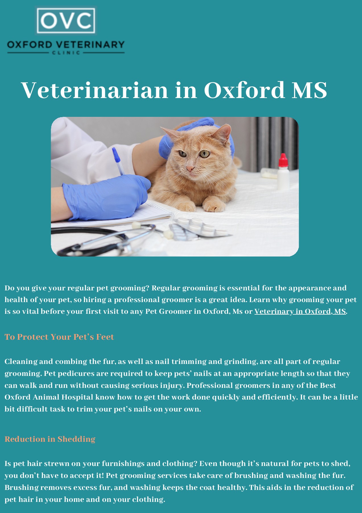Veterinarian in Oxford MS Oxford Veterinary Clinic Page 1 2