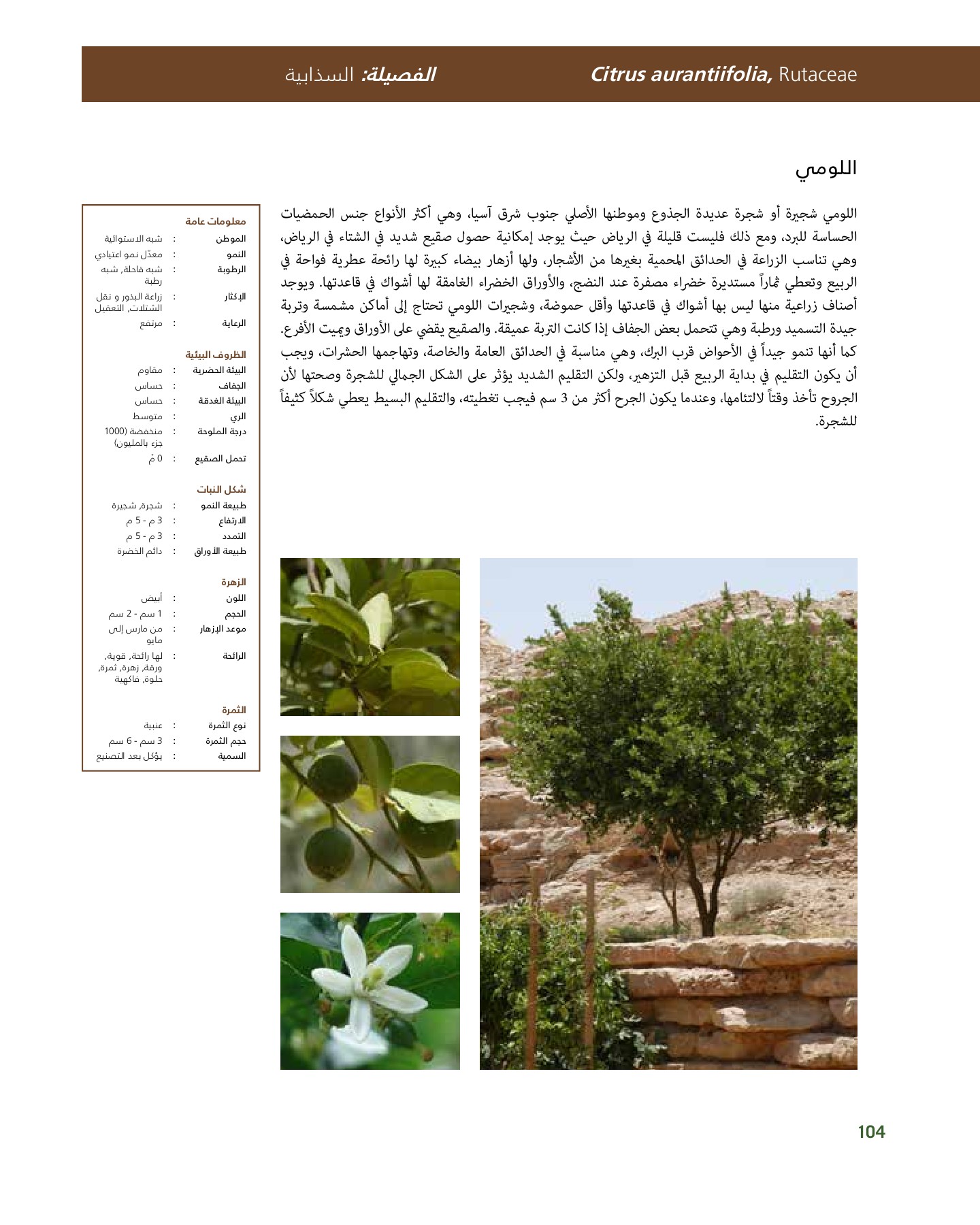 RiyadhPlantsManualAr Ci Oy الصفحة 105 PDF على الإنترنت