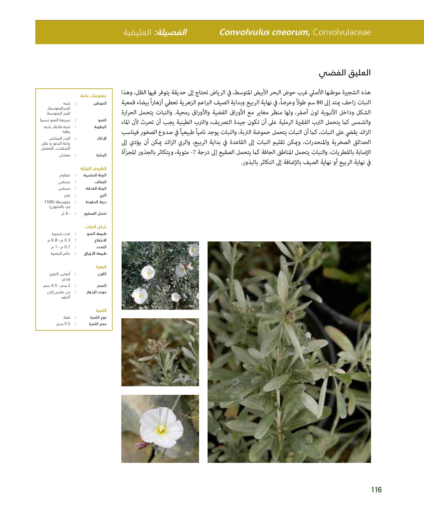 RiyadhPlantsManualAr Ci Oy الصفحة 117 PDF على الإنترنت