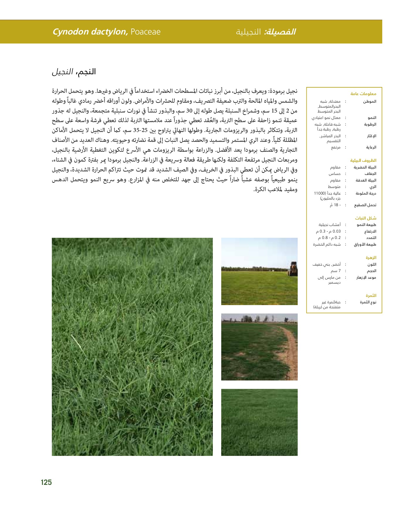 RiyadhPlantsManualAr Ci Oy الصفحة 126 PDF على الإنترنت