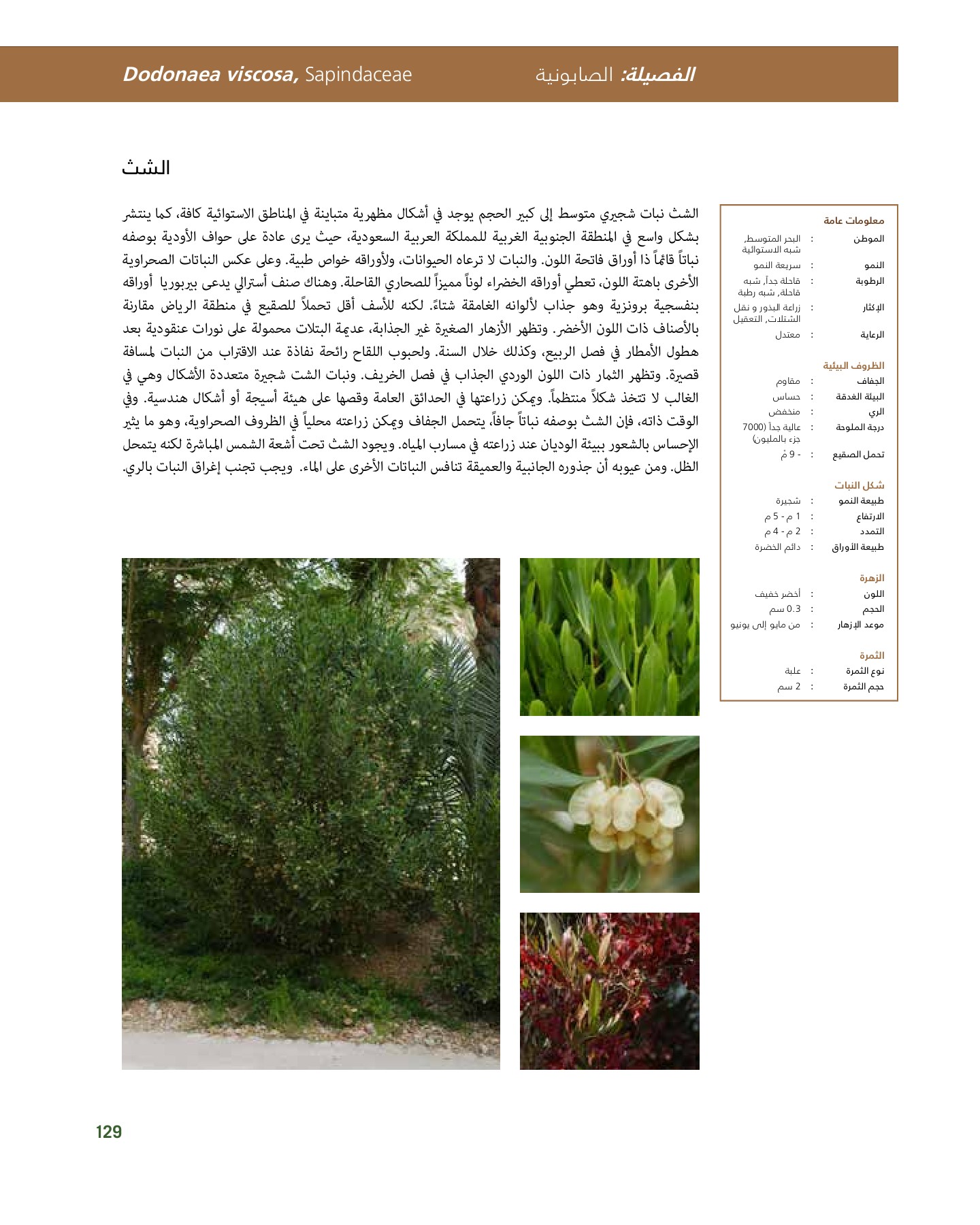 RiyadhPlantsManualAr Ci Oy الصفحة 130 PDF على الإنترنت