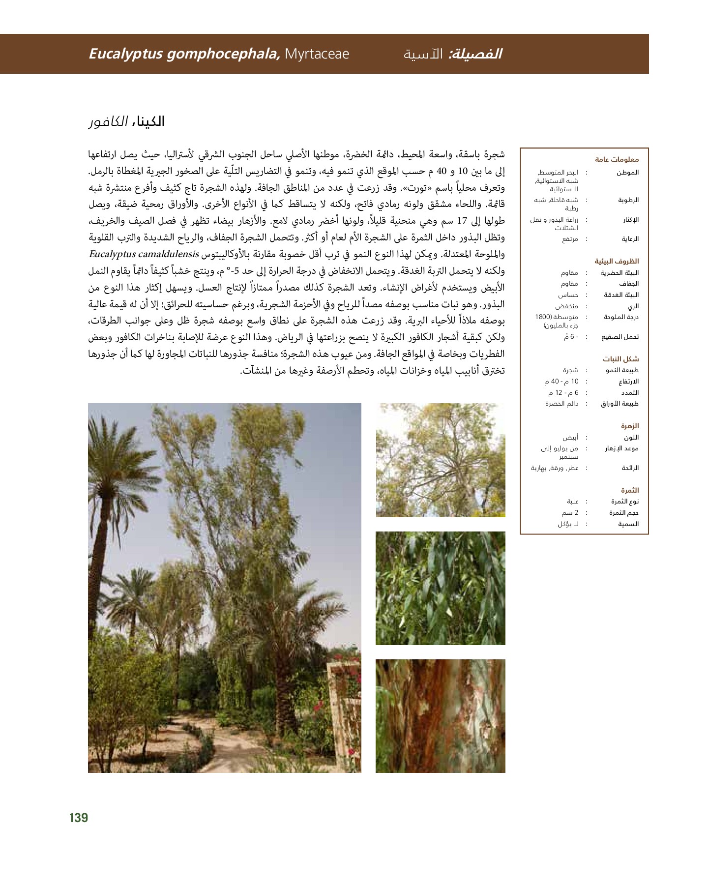 RiyadhPlantsManualAr Ci Oy الصفحة 140 PDF على الإنترنت