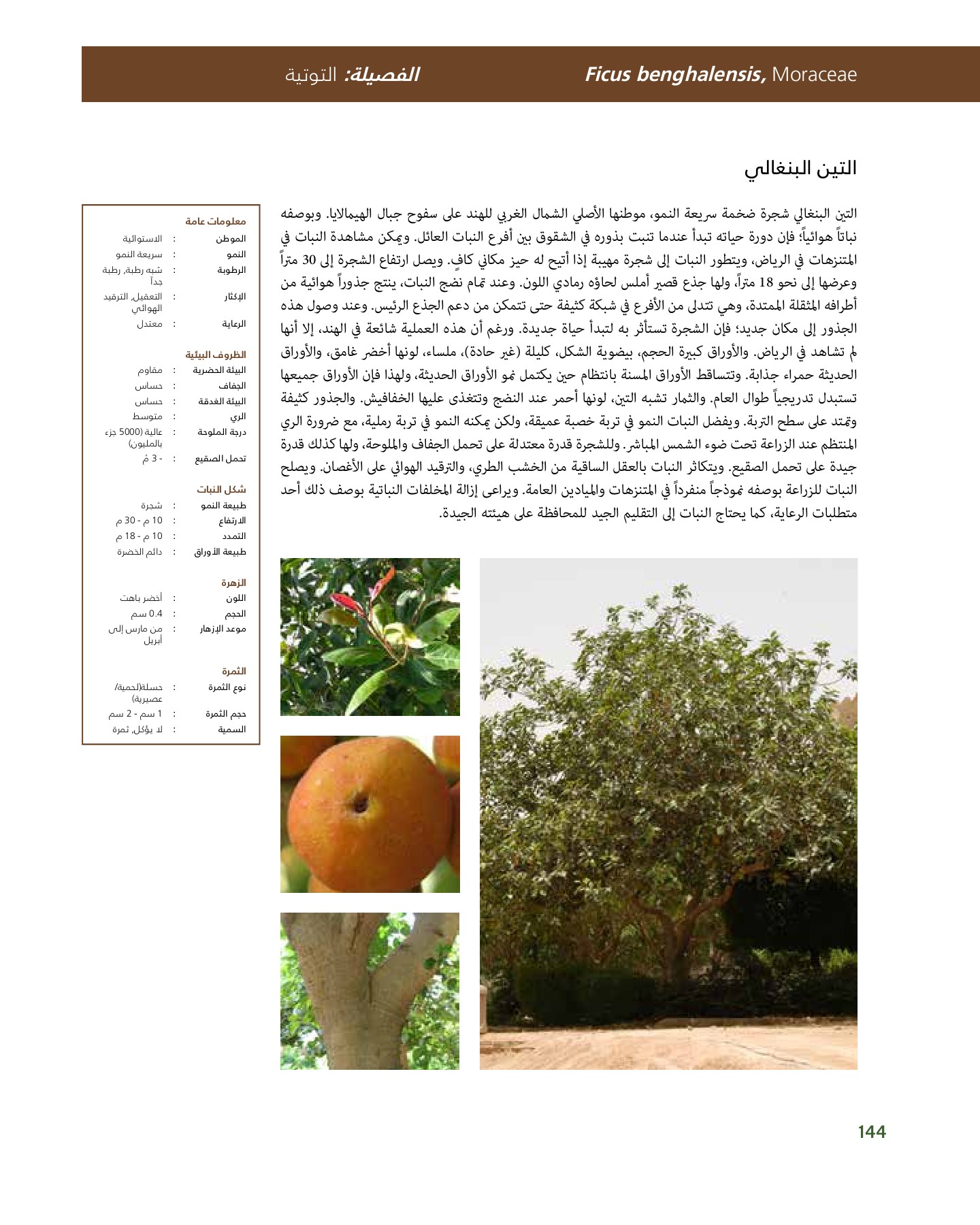 RiyadhPlantsManualAr Ci Oy الصفحة 145 PDF على الإنترنت