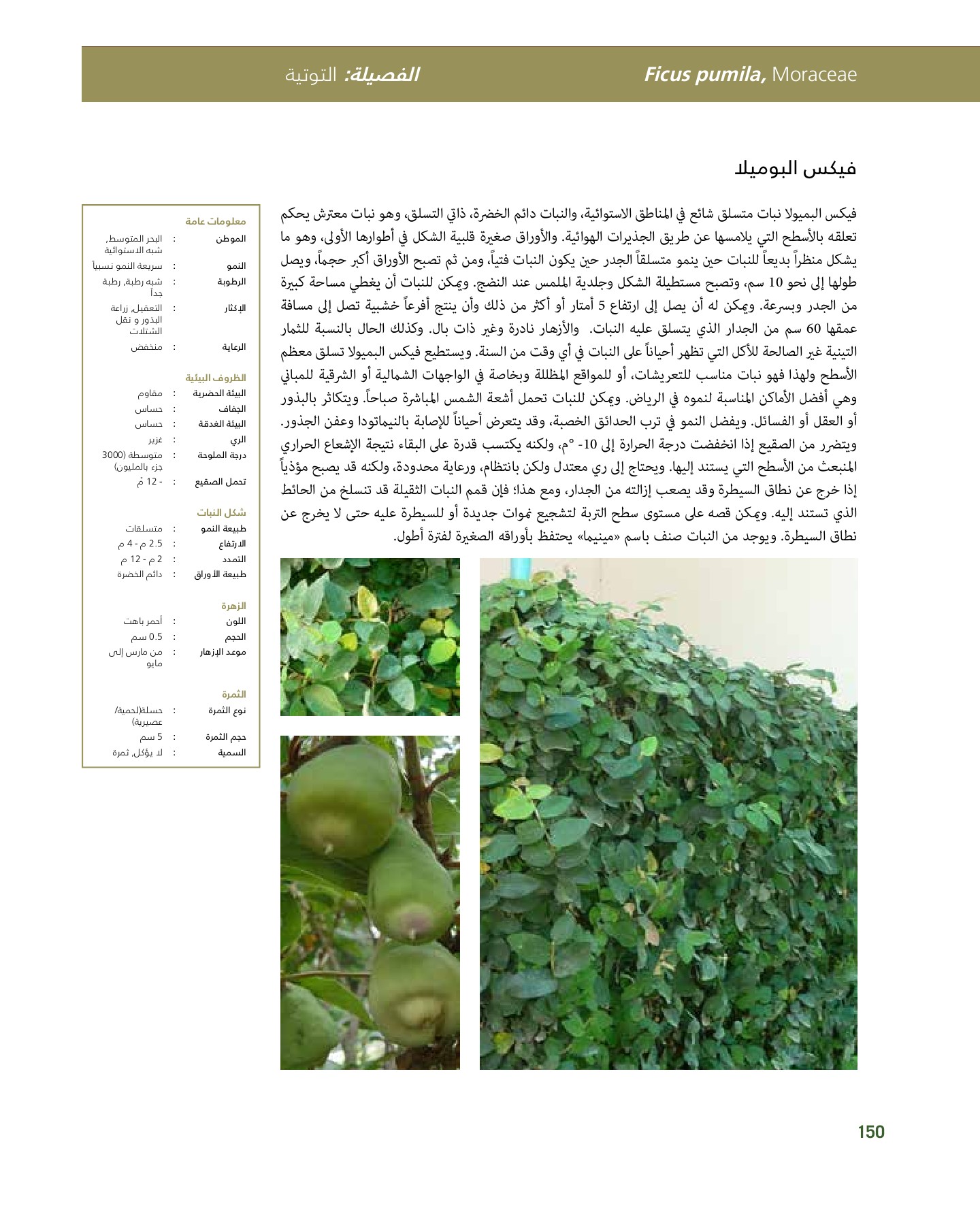RiyadhPlantsManualAr Ci Oy الصفحة 151 PDF على الإنترنت