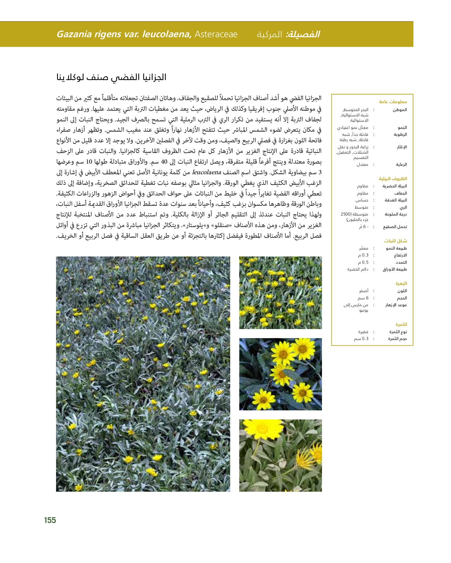 RiyadhPlantsManualAr Ci Oy الصفحة 156 PDF على الإنترنت