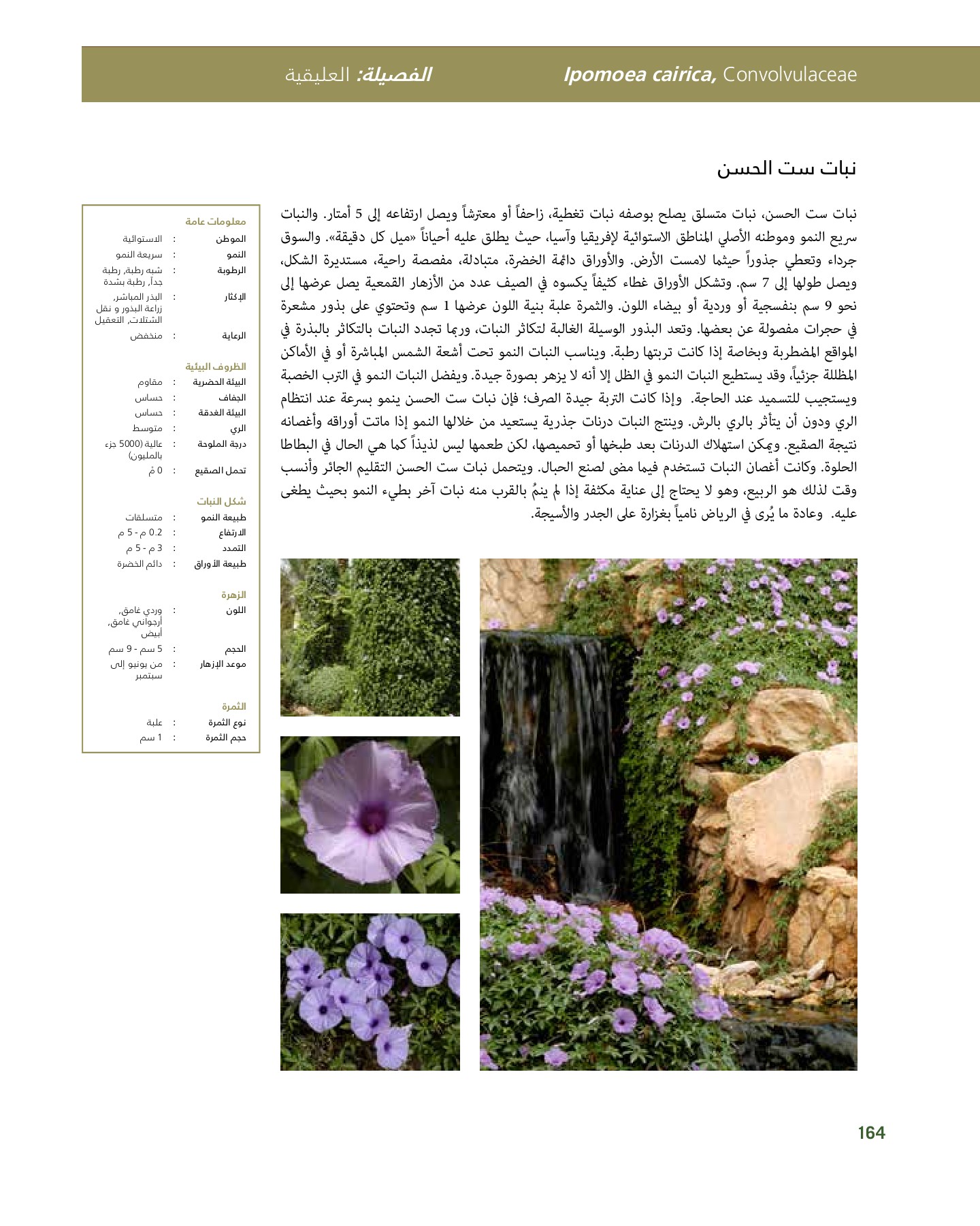 RiyadhPlantsManualAr Ci Oy الصفحة 165 PDF على الإنترنت