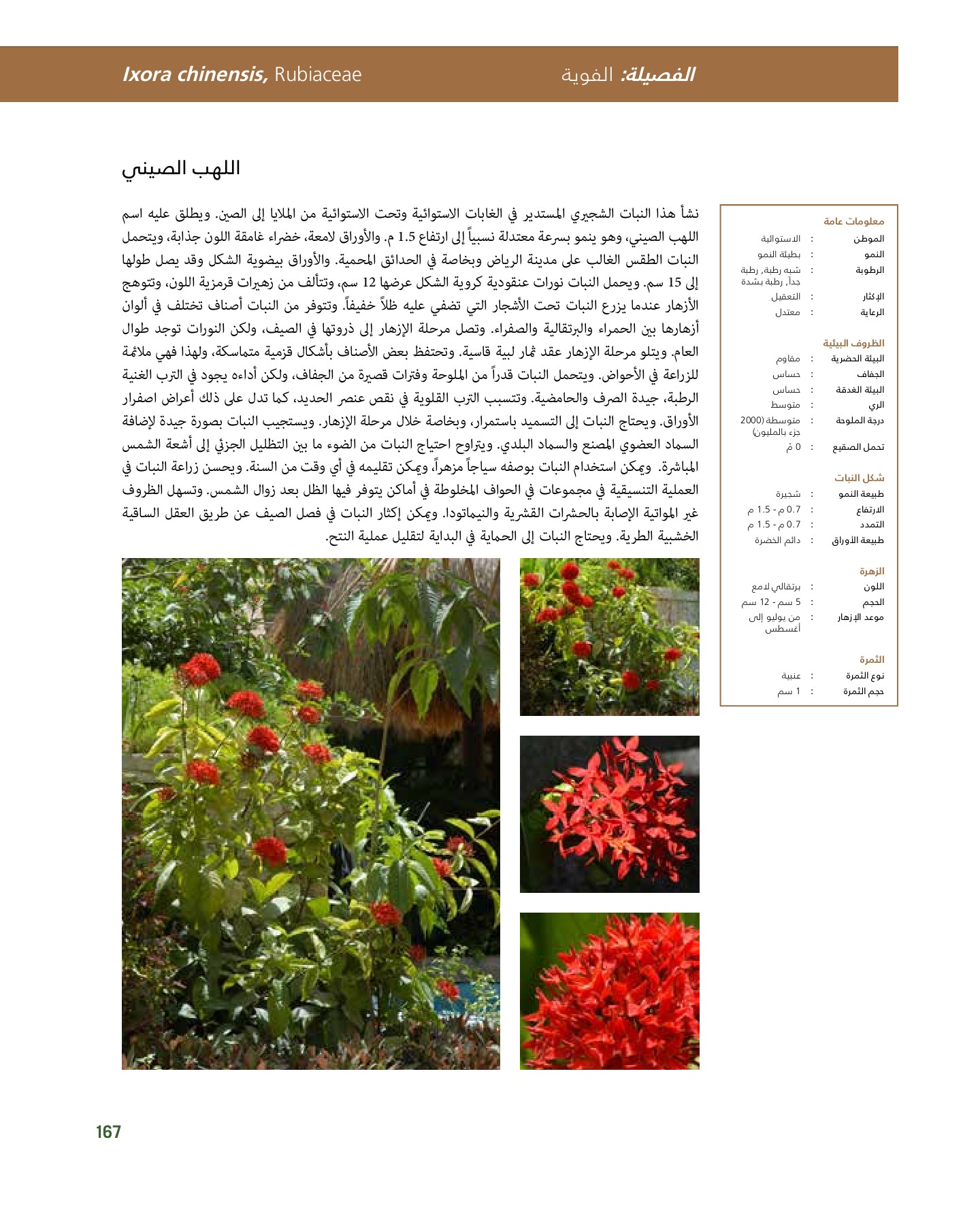 RiyadhPlantsManualAr Ci Oy الصفحة 168 PDF على الإنترنت