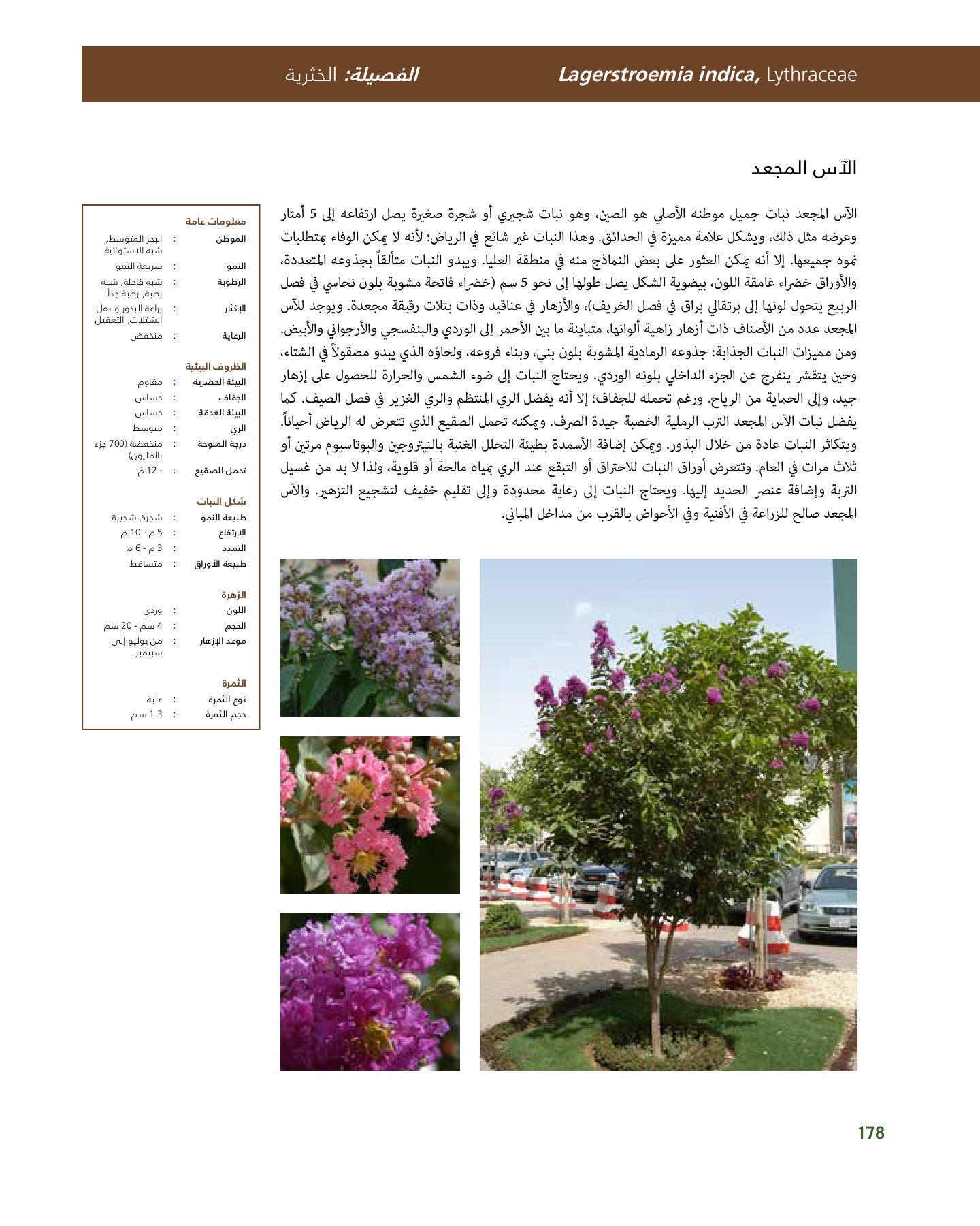 RiyadhPlantsManualAr Ci Oy الصفحة 179 PDF على الإنترنت