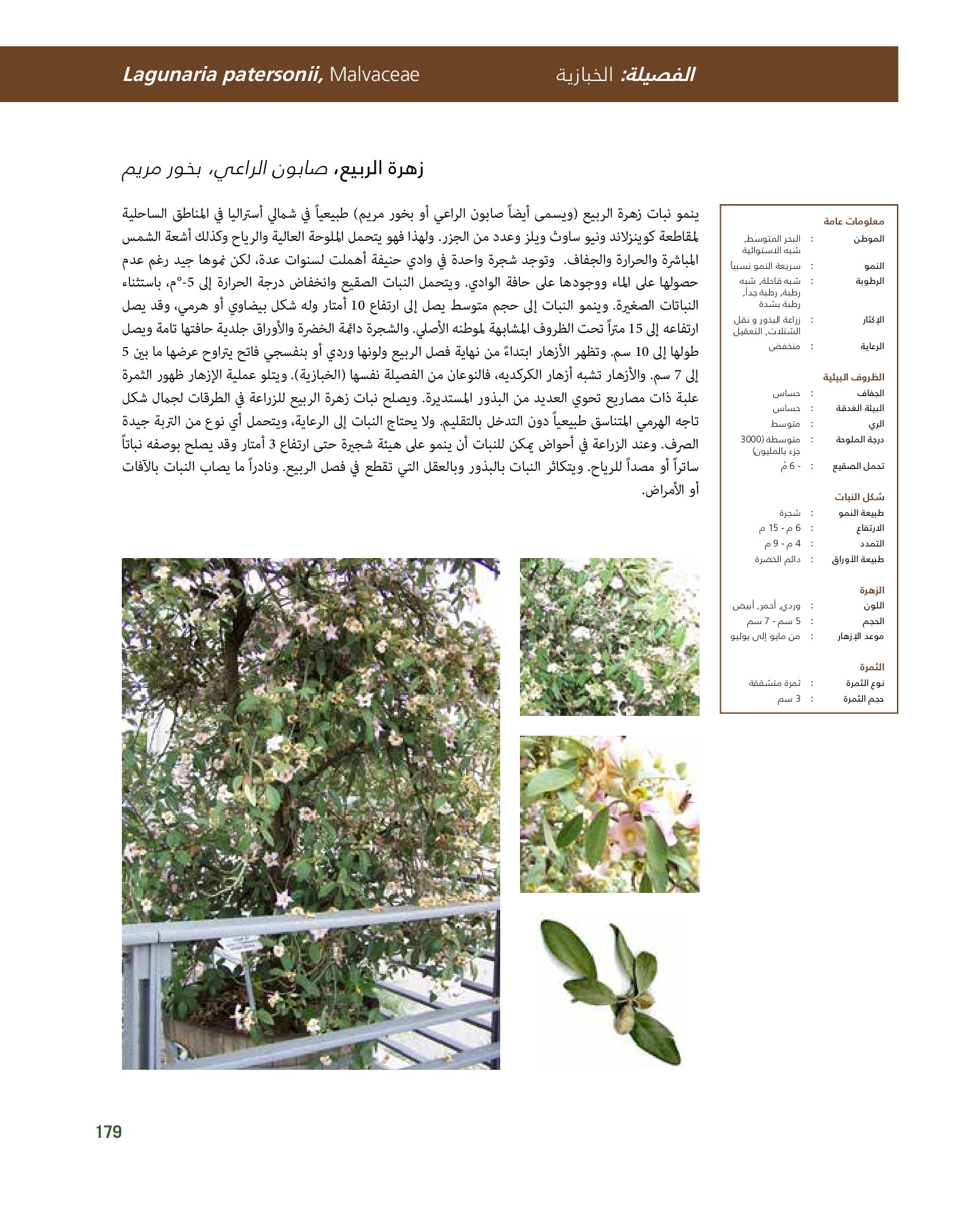 RiyadhPlantsManualAr Ci Oy الصفحة 180 PDF على الإنترنت