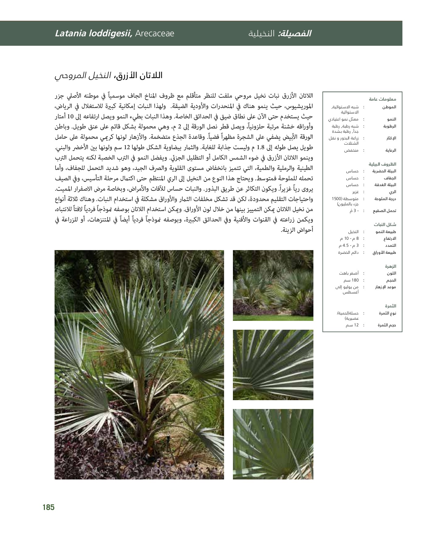 RiyadhPlantsManualAr Ci Oy الصفحة 186 PDF على الإنترنت