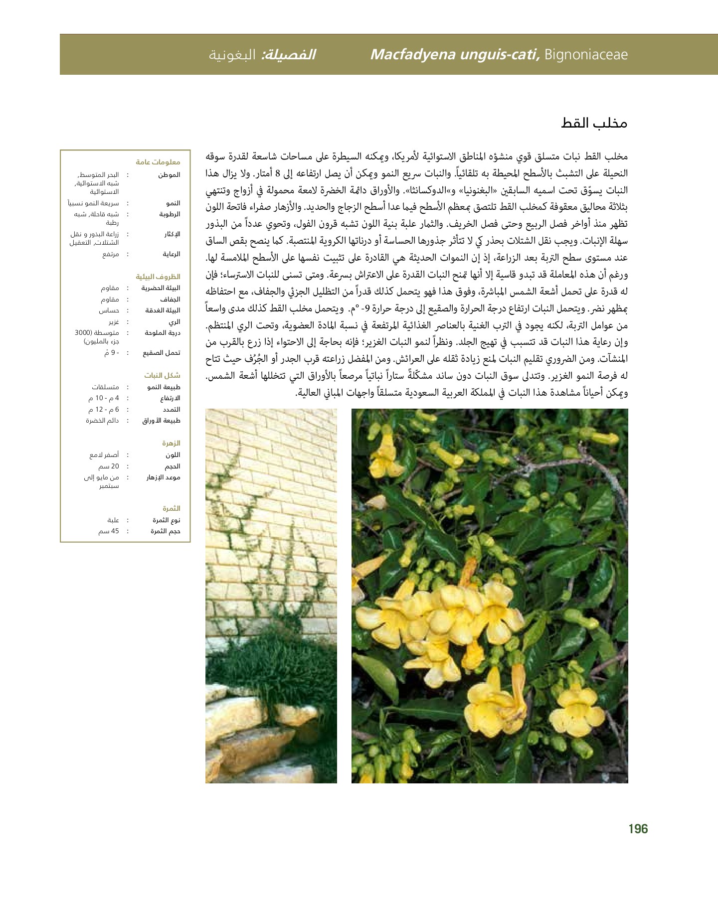 RiyadhPlantsManualAr Ci Oy الصفحة 197 PDF على الإنترنت