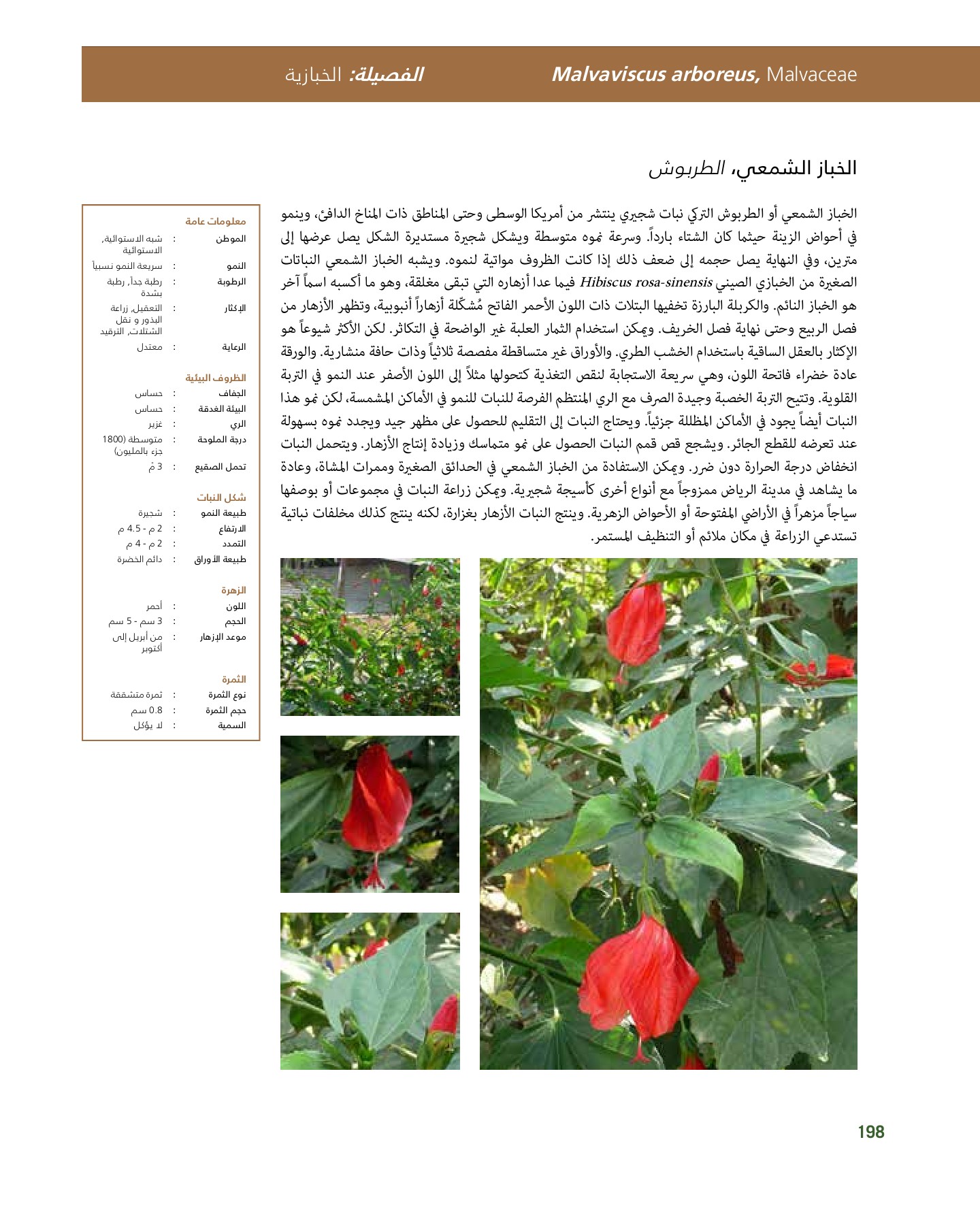 RiyadhPlantsManualAr Ci Oy الصفحة 199 PDF على الإنترنت