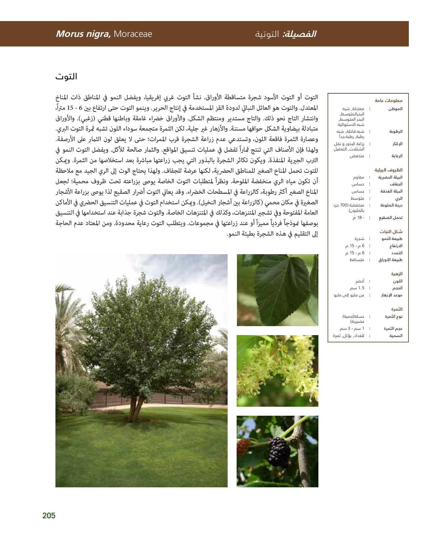 RiyadhPlantsManualAr Ci Oy الصفحة 206 PDF على الإنترنت