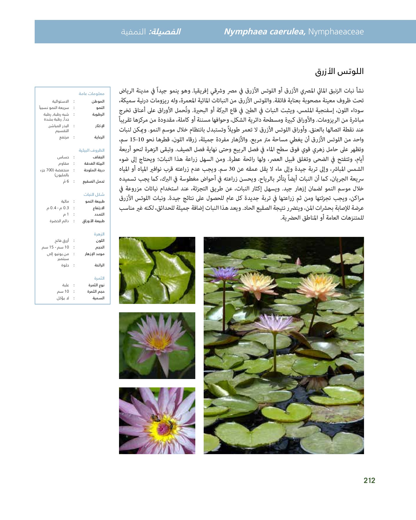RiyadhPlantsManualAr Ci Oy الصفحة 213 PDF على الإنترنت