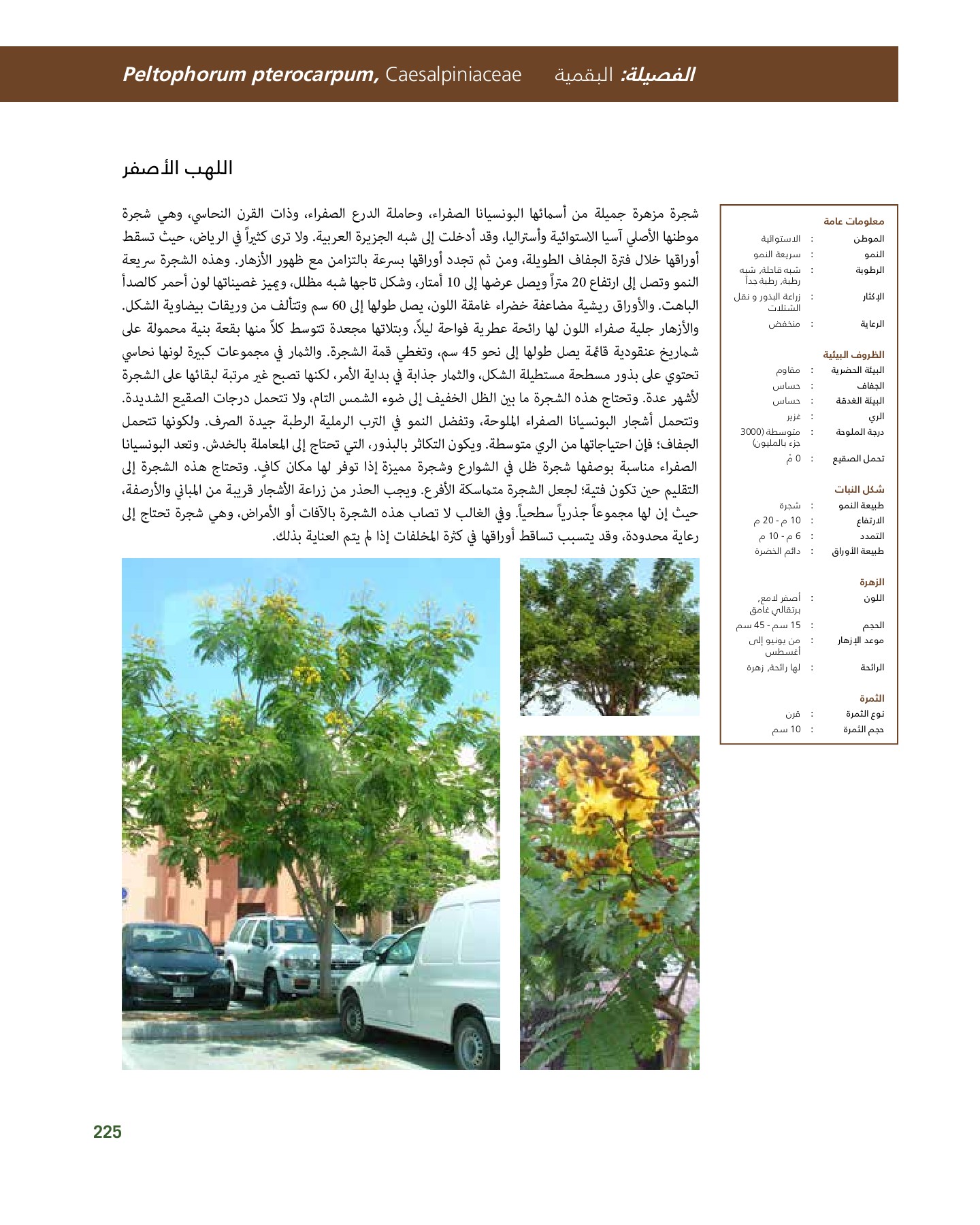 RiyadhPlantsManualAr Ci Oy الصفحة 226 PDF على الإنترنت