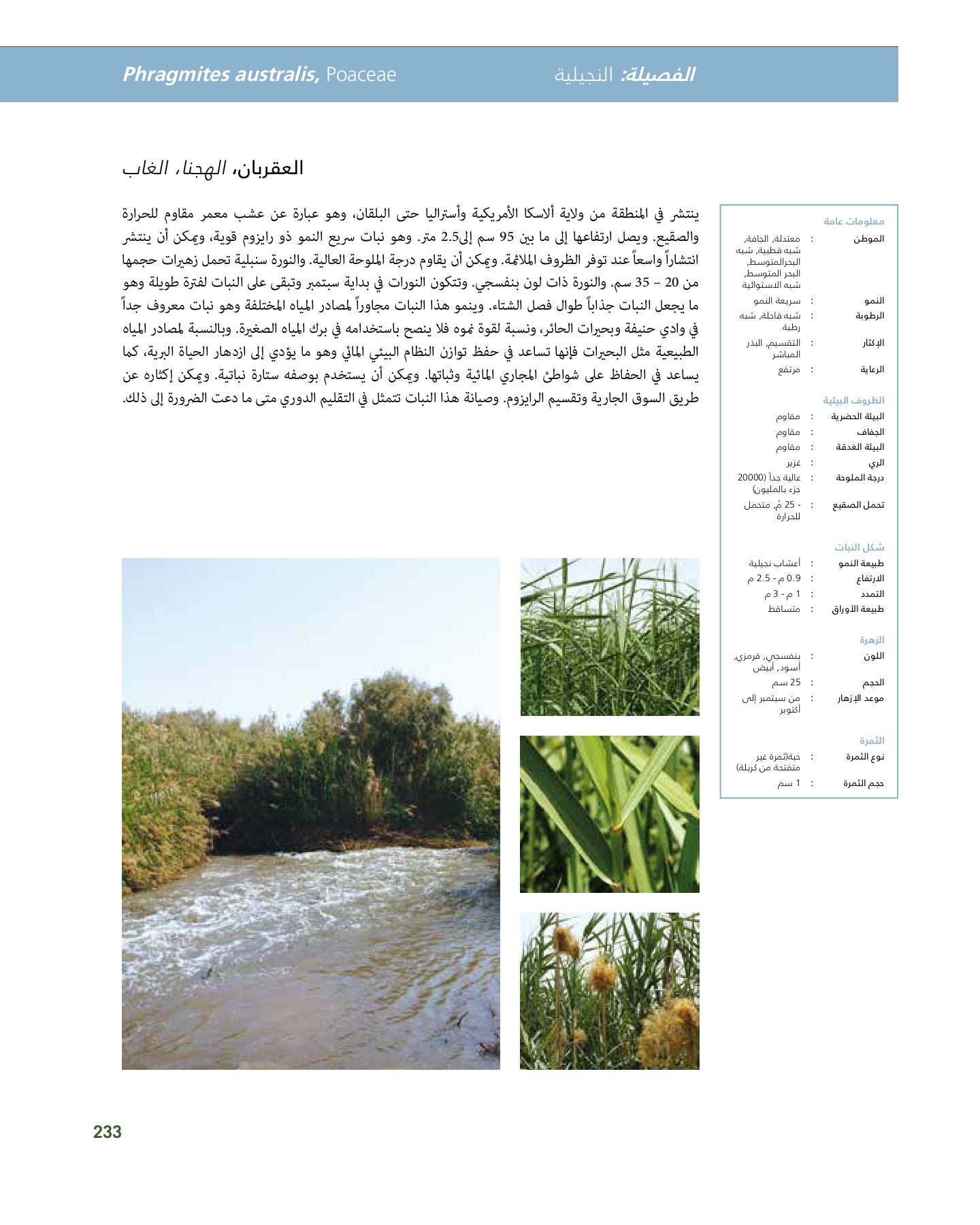 RiyadhPlantsManualAr Ci Oy الصفحة 234 PDF على الإنترنت