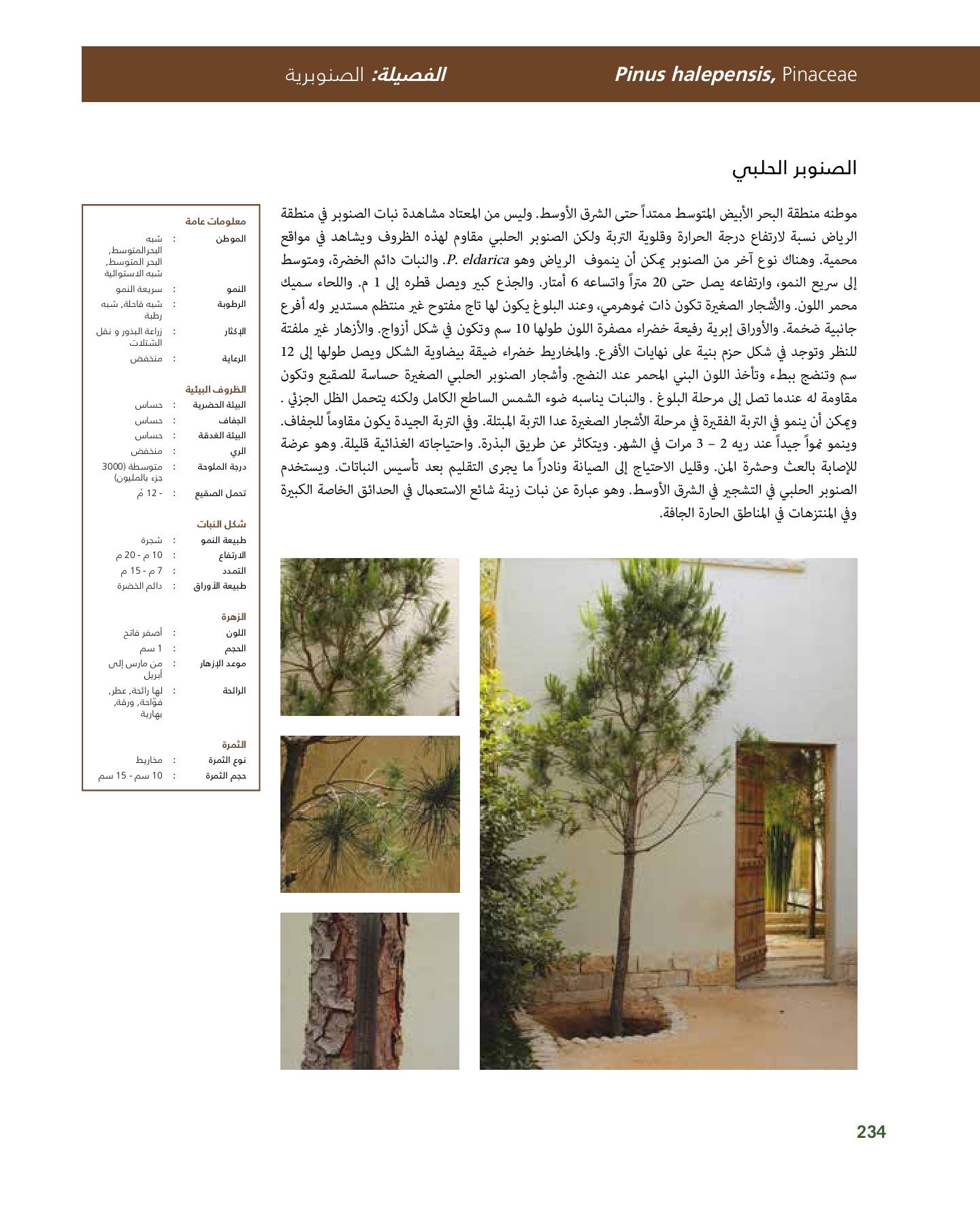 RiyadhPlantsManualAr Ci Oy الصفحة 235 PDF على الإنترنت
