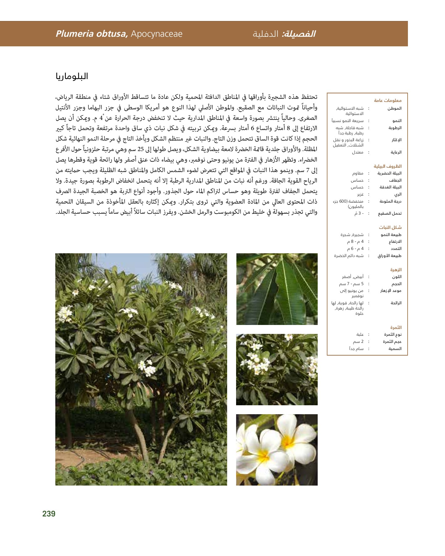 RiyadhPlantsManualAr Ci Oy الصفحة 240 PDF على الإنترنت
