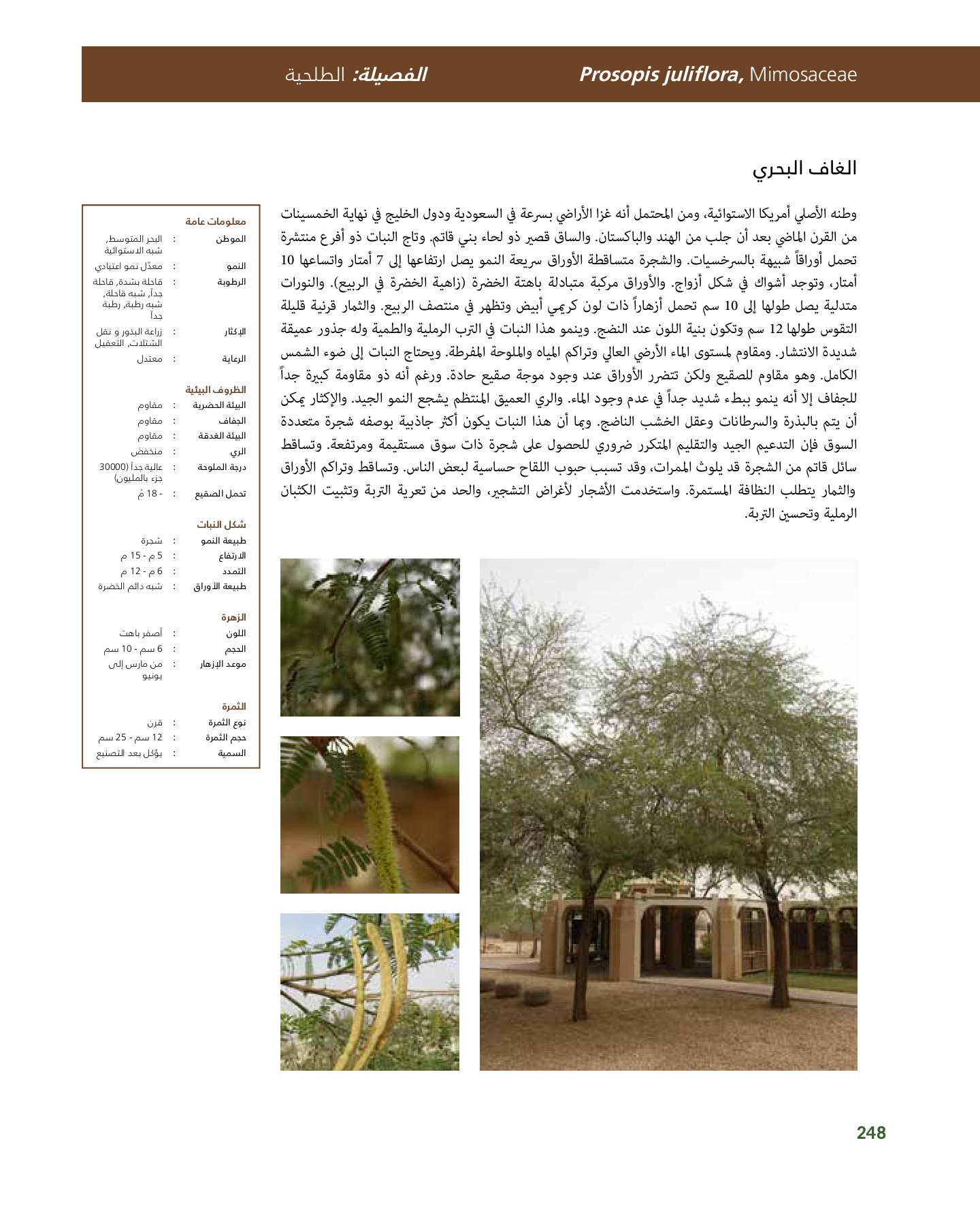 RiyadhPlantsManualAr Ci Oy الصفحة 249 PDF على الإنترنت