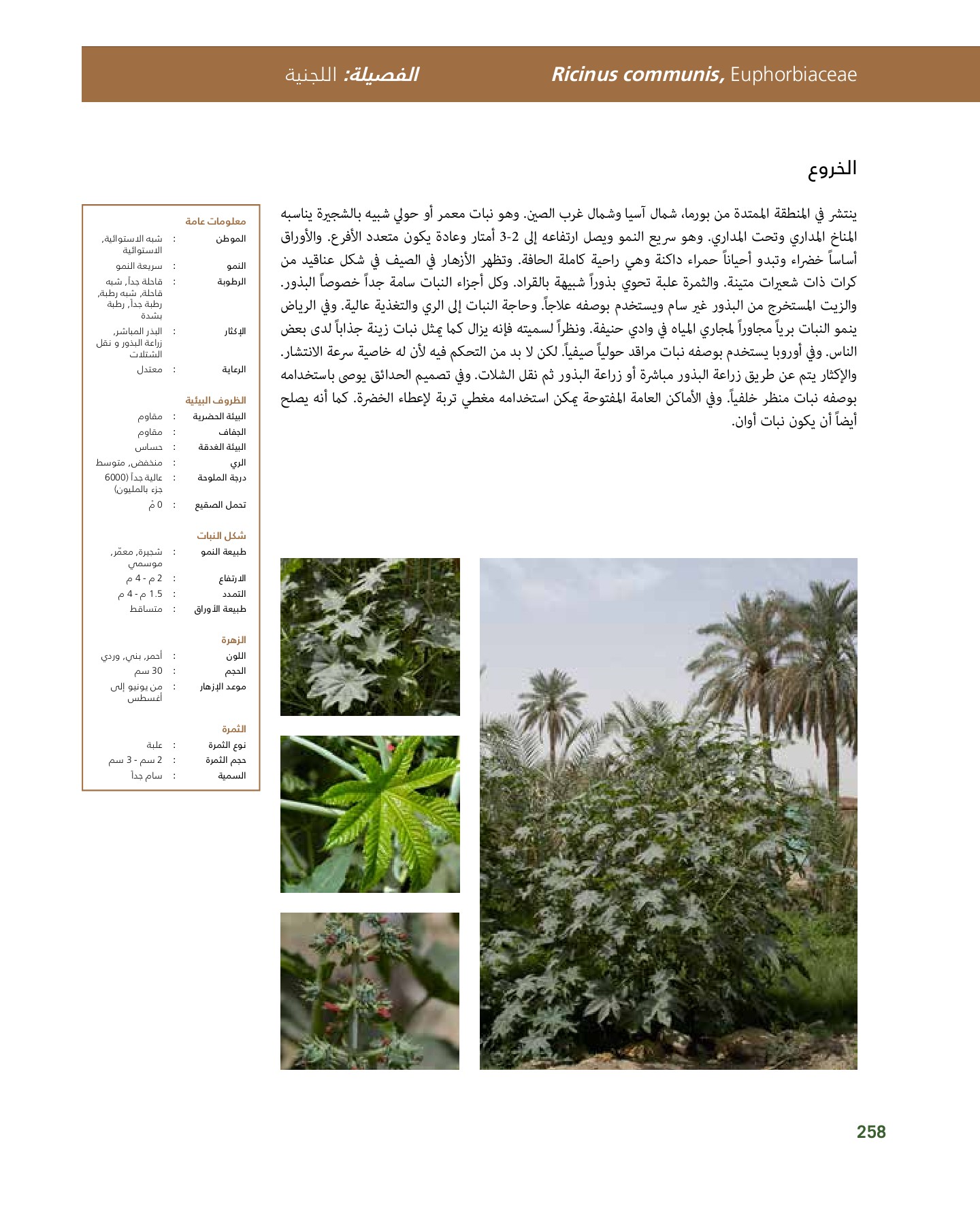 RiyadhPlantsManualAr Ci Oy الصفحة 259 PDF على الإنترنت