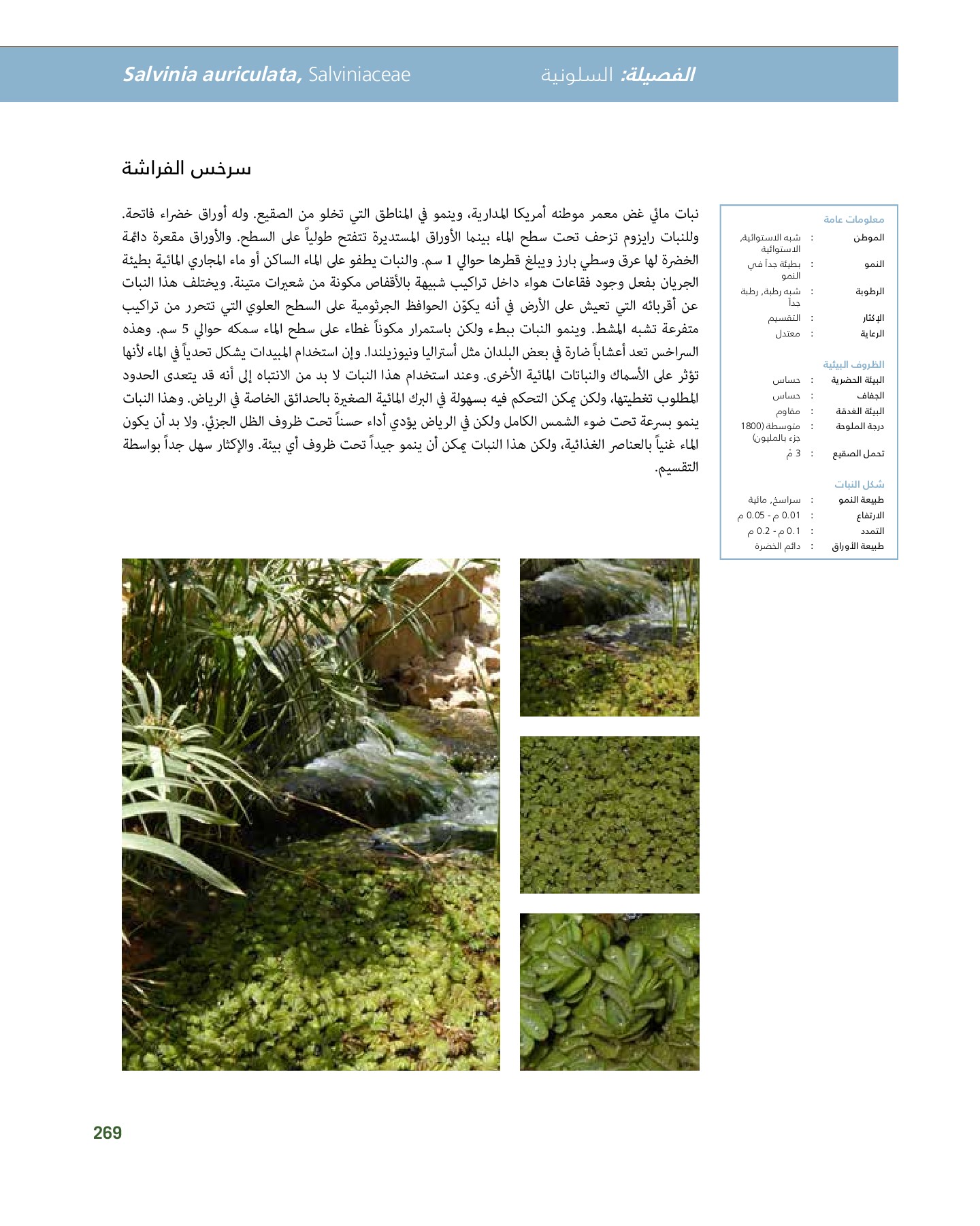 RiyadhPlantsManualAr Ci Oy الصفحة 270 PDF على الإنترنت