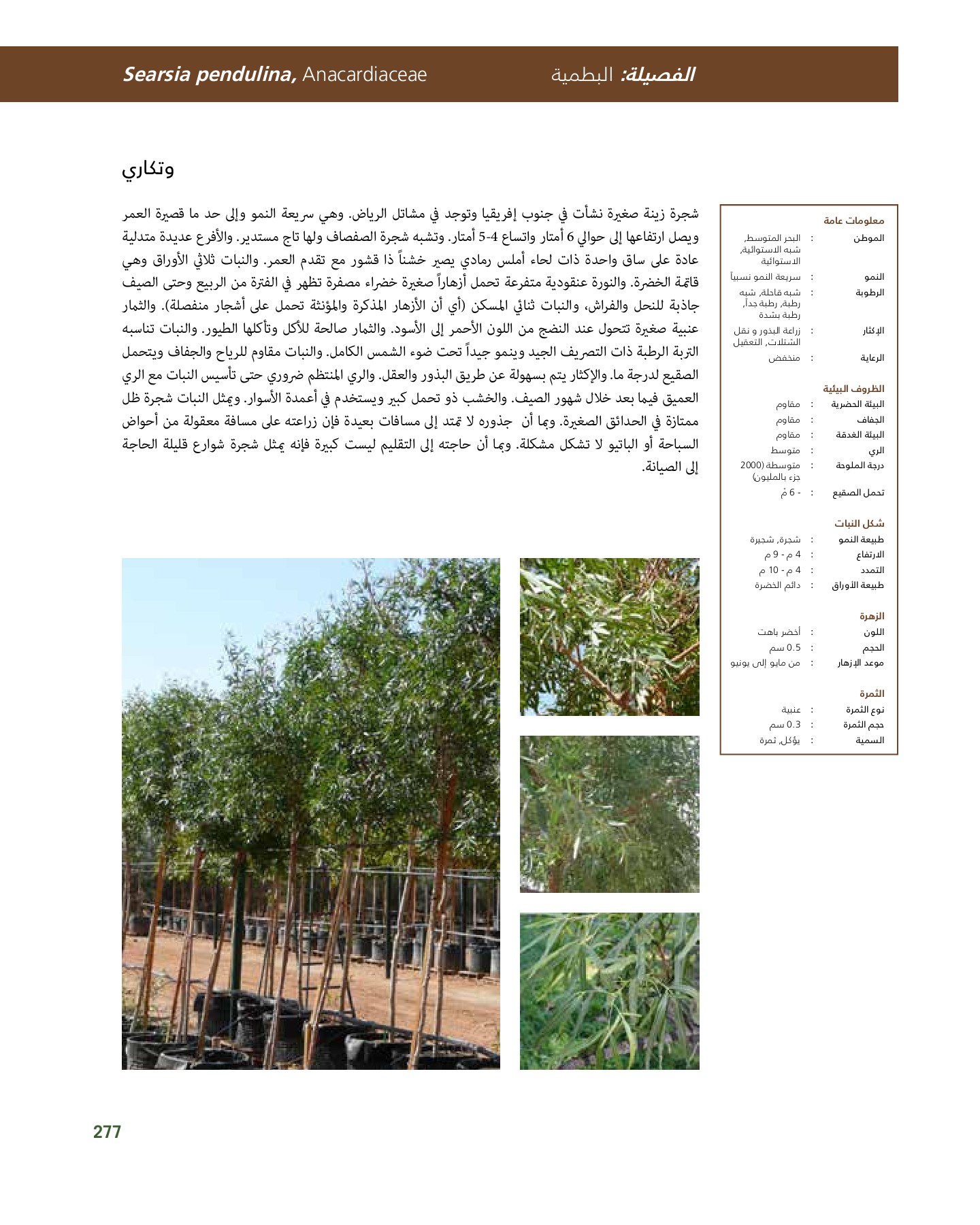 RiyadhPlantsManualAr Ci Oy الصفحة 278 PDF على الإنترنت