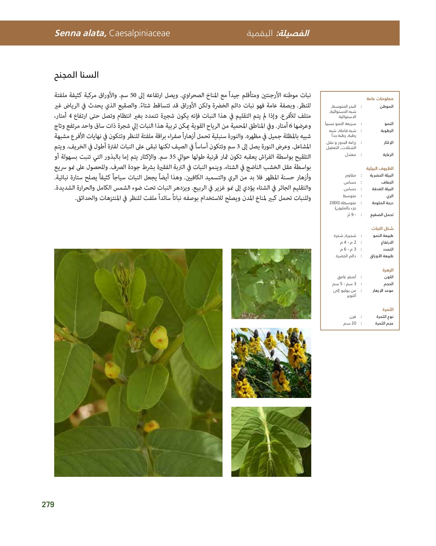 RiyadhPlantsManualAr Ci Oy الصفحة 280 PDF على الإنترنت