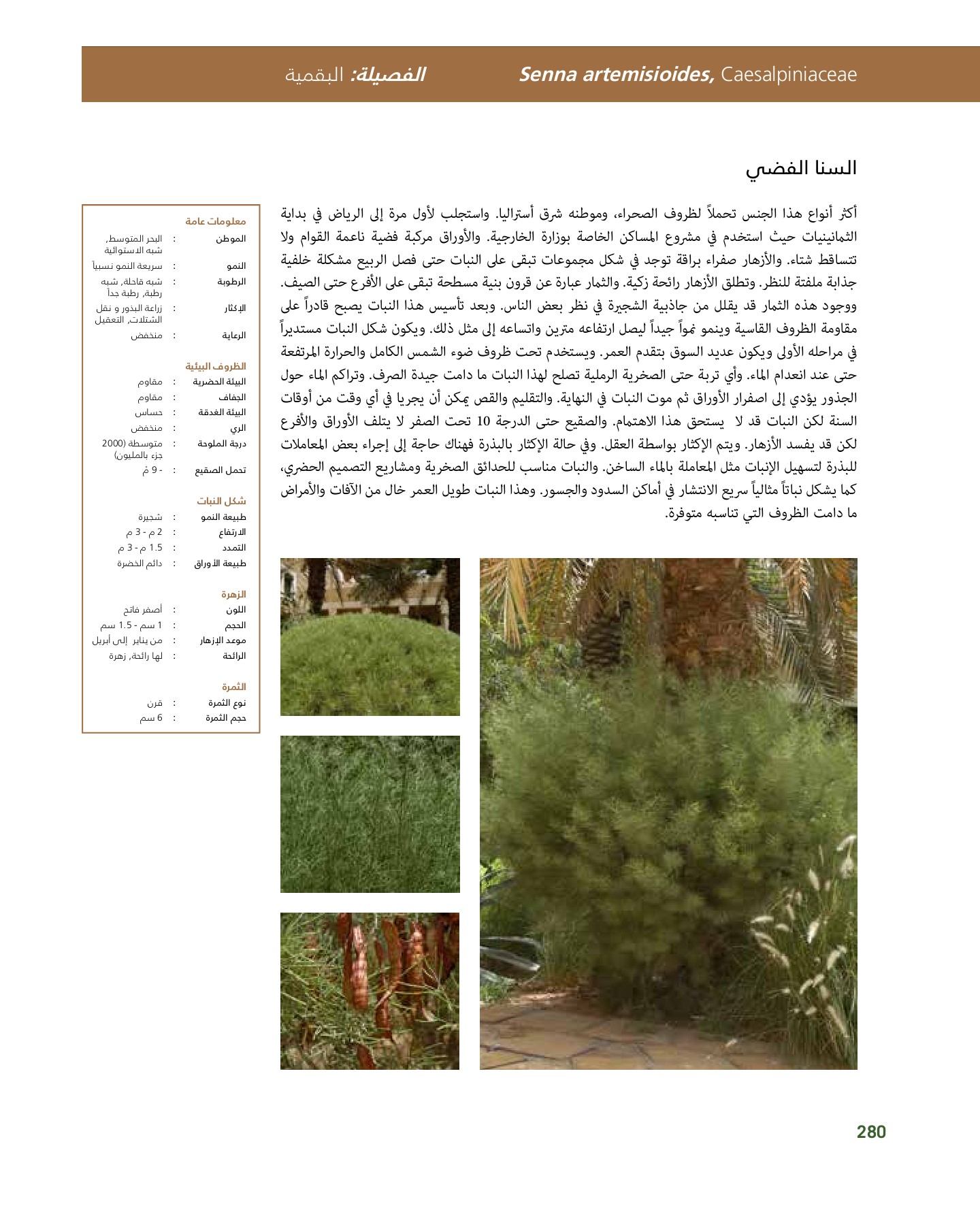 RiyadhPlantsManualAr Ci Oy الصفحة 281 PDF على الإنترنت
