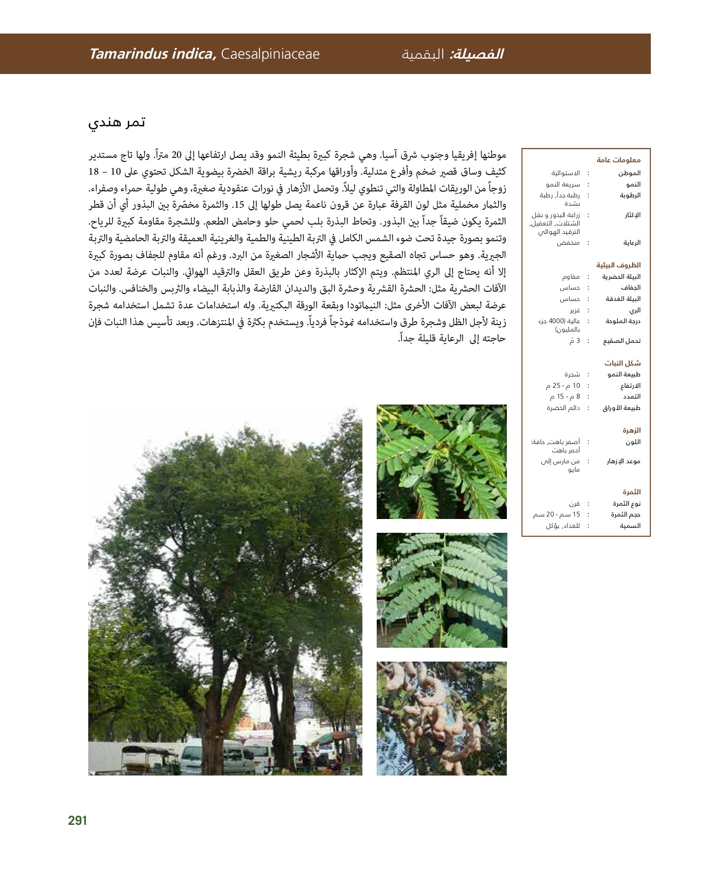 RiyadhPlantsManualAr Ci Oy الصفحة 292 PDF على الإنترنت