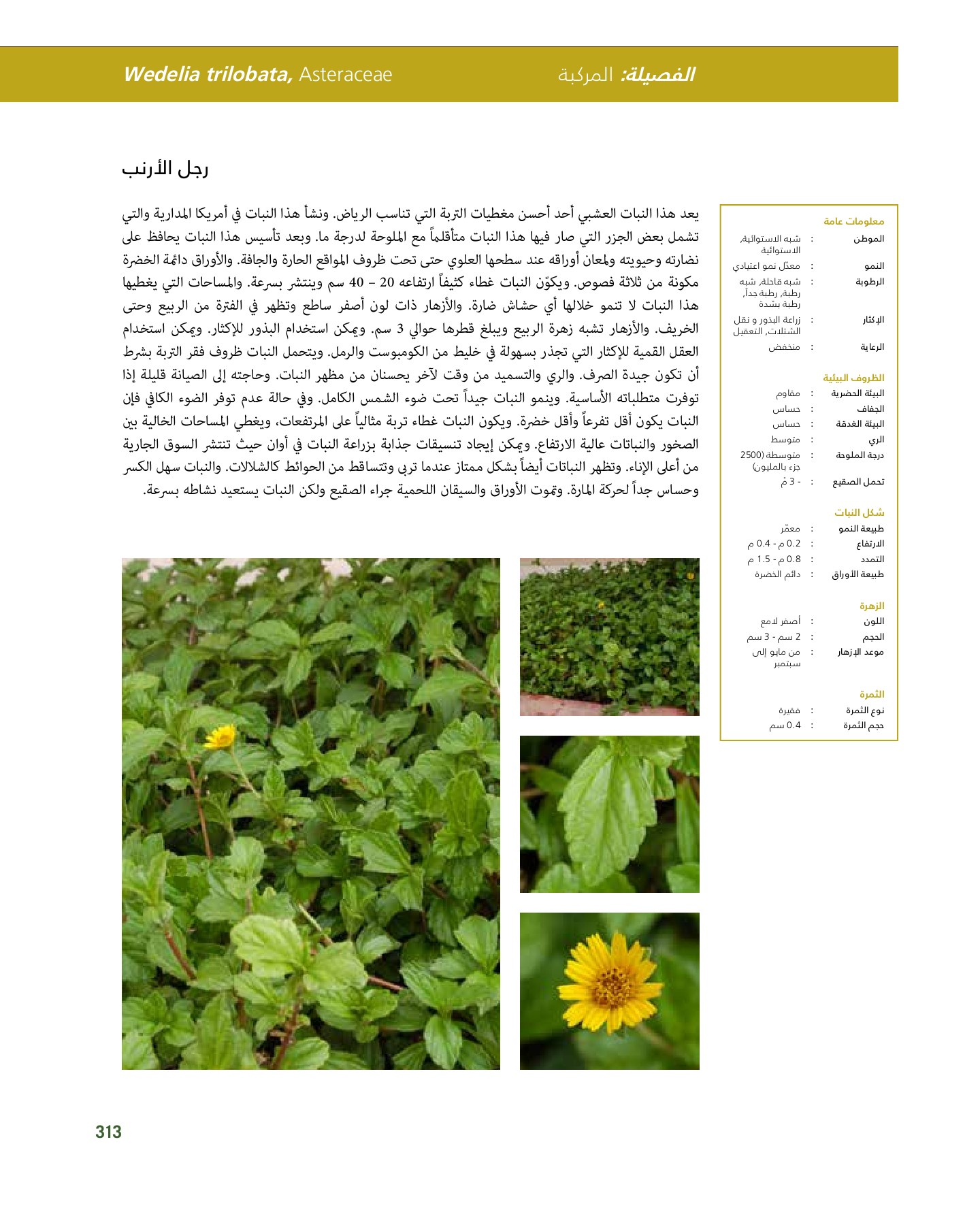 RiyadhPlantsManualAr Ci Oy الصفحة 314 PDF على الإنترنت