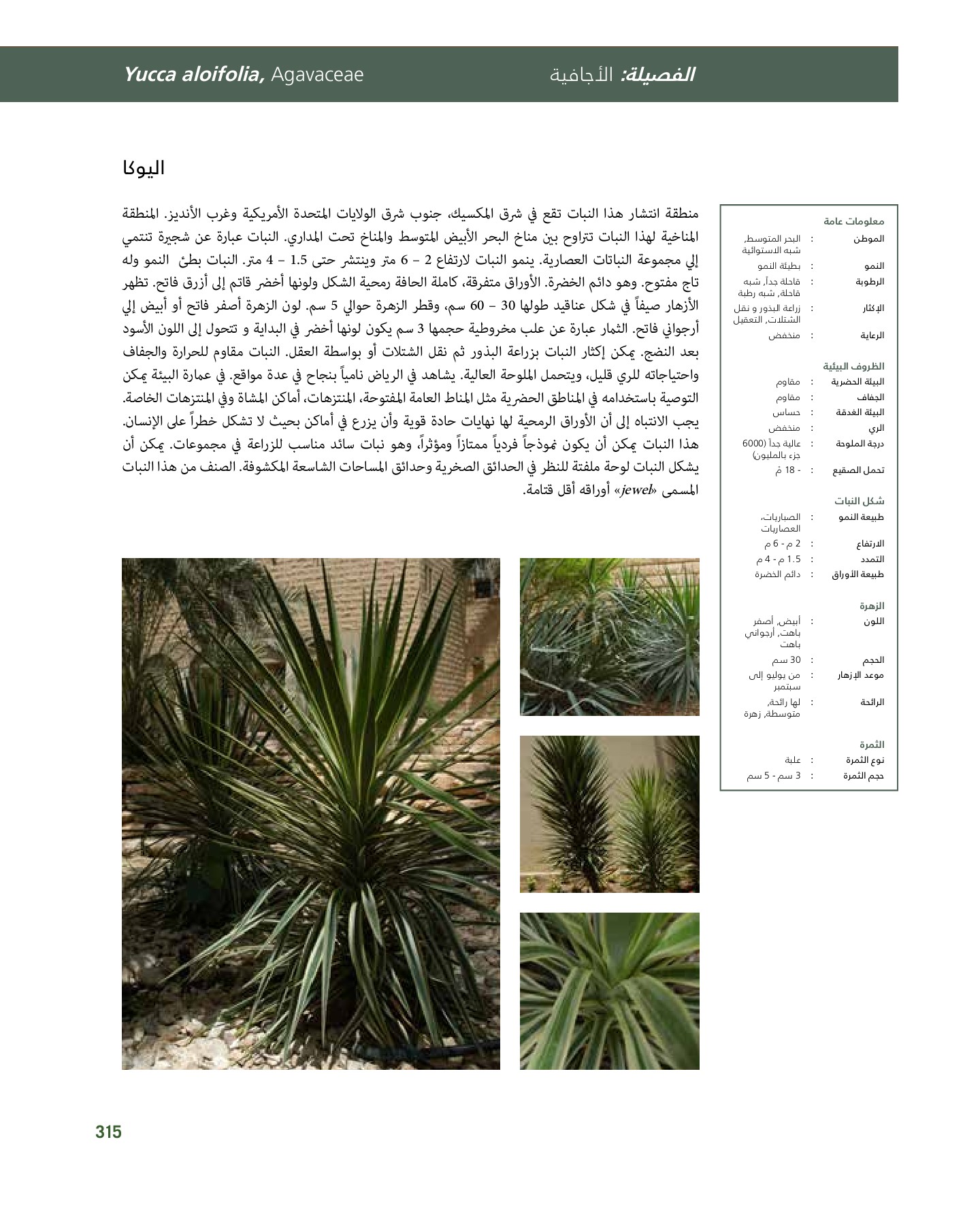 RiyadhPlantsManualAr Ci Oy الصفحة 316 PDF على الإنترنت