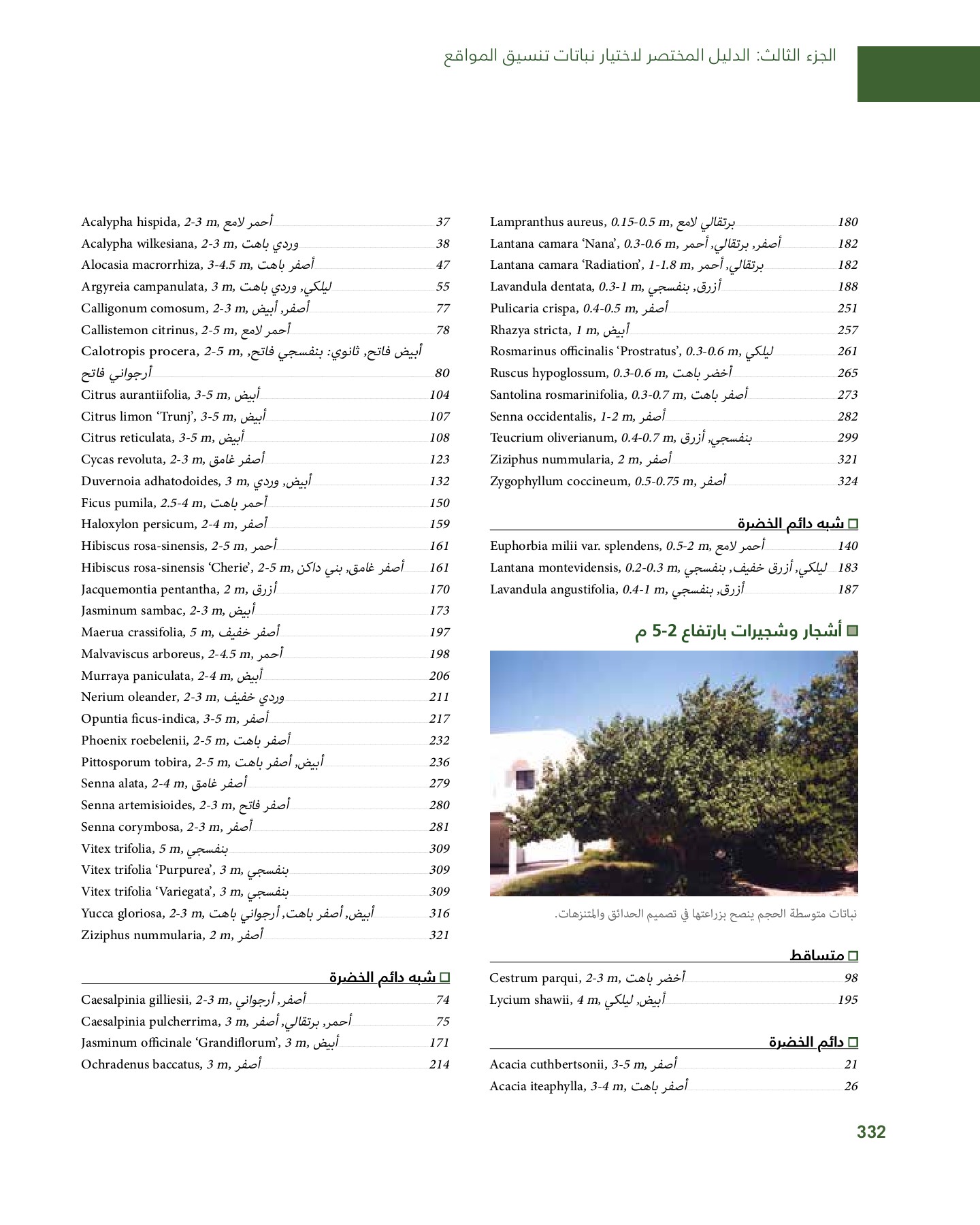 RiyadhPlantsManualAr Ci Oy الصفحة 333 PDF على الإنترنت