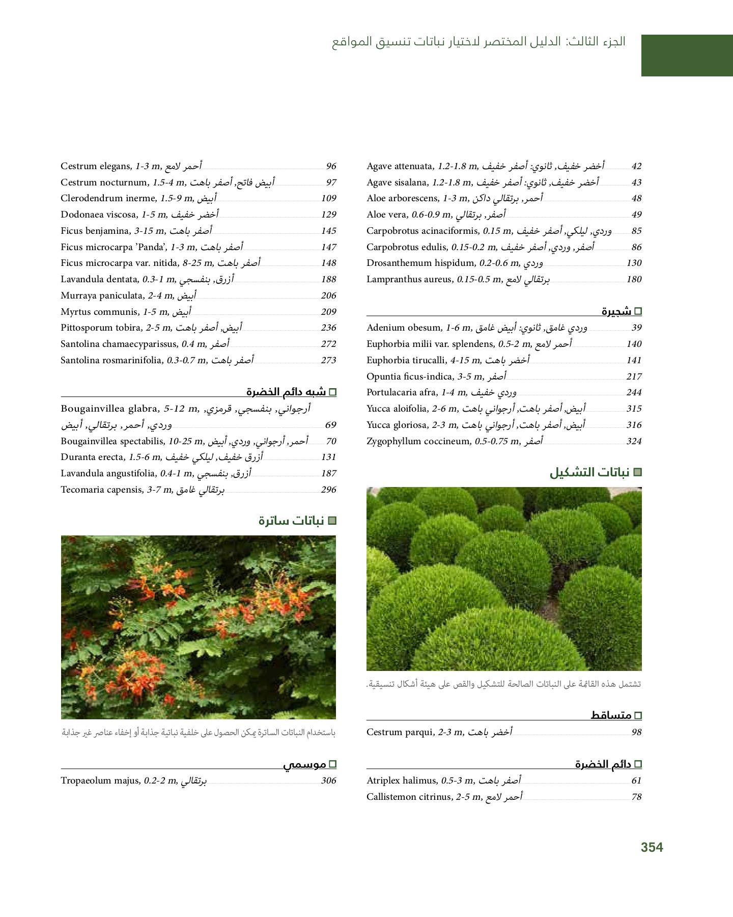 RiyadhPlantsManualAr Ci Oy الصفحة 355 PDF على الإنترنت
